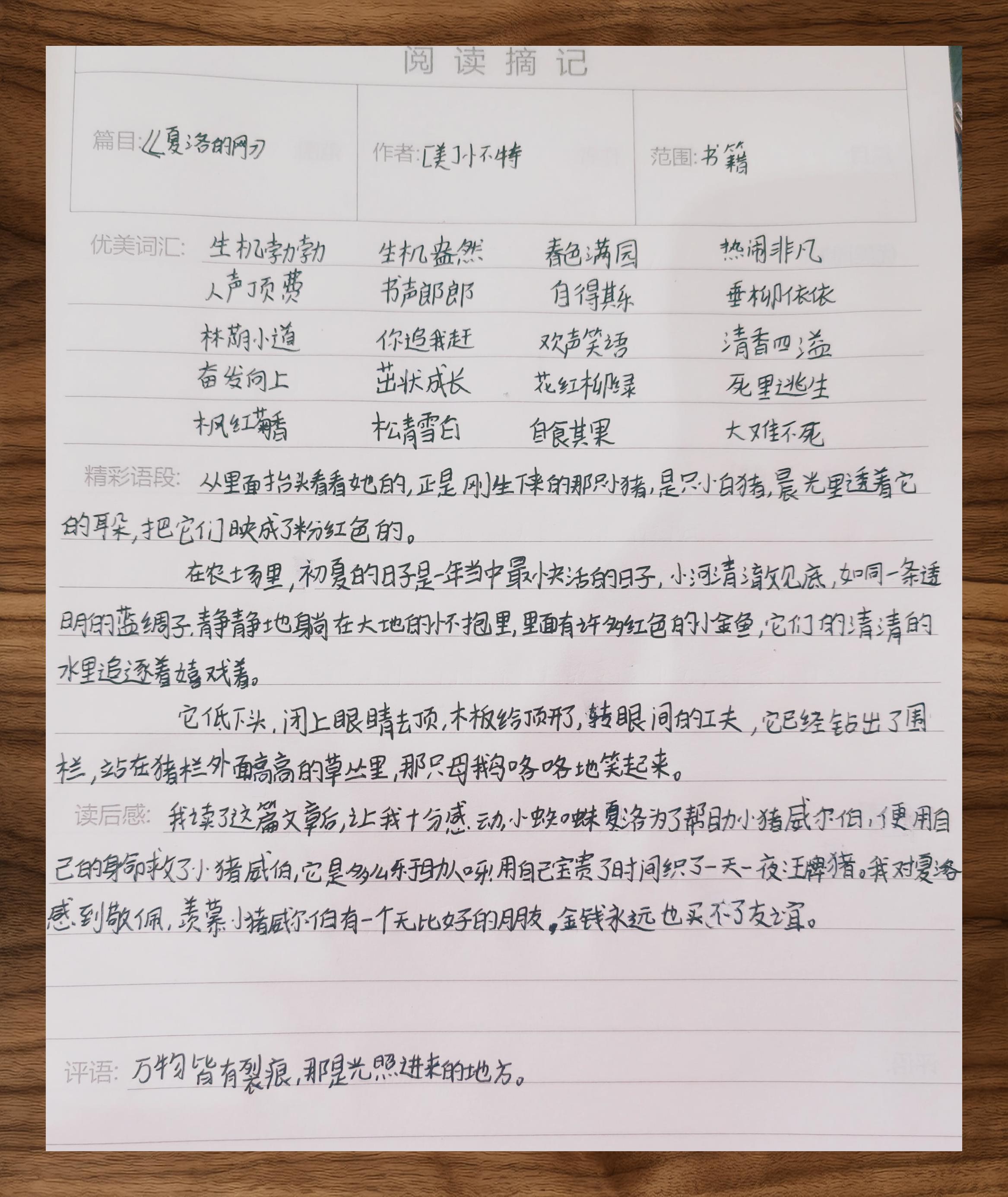 夏洛的网读后感 30字图片