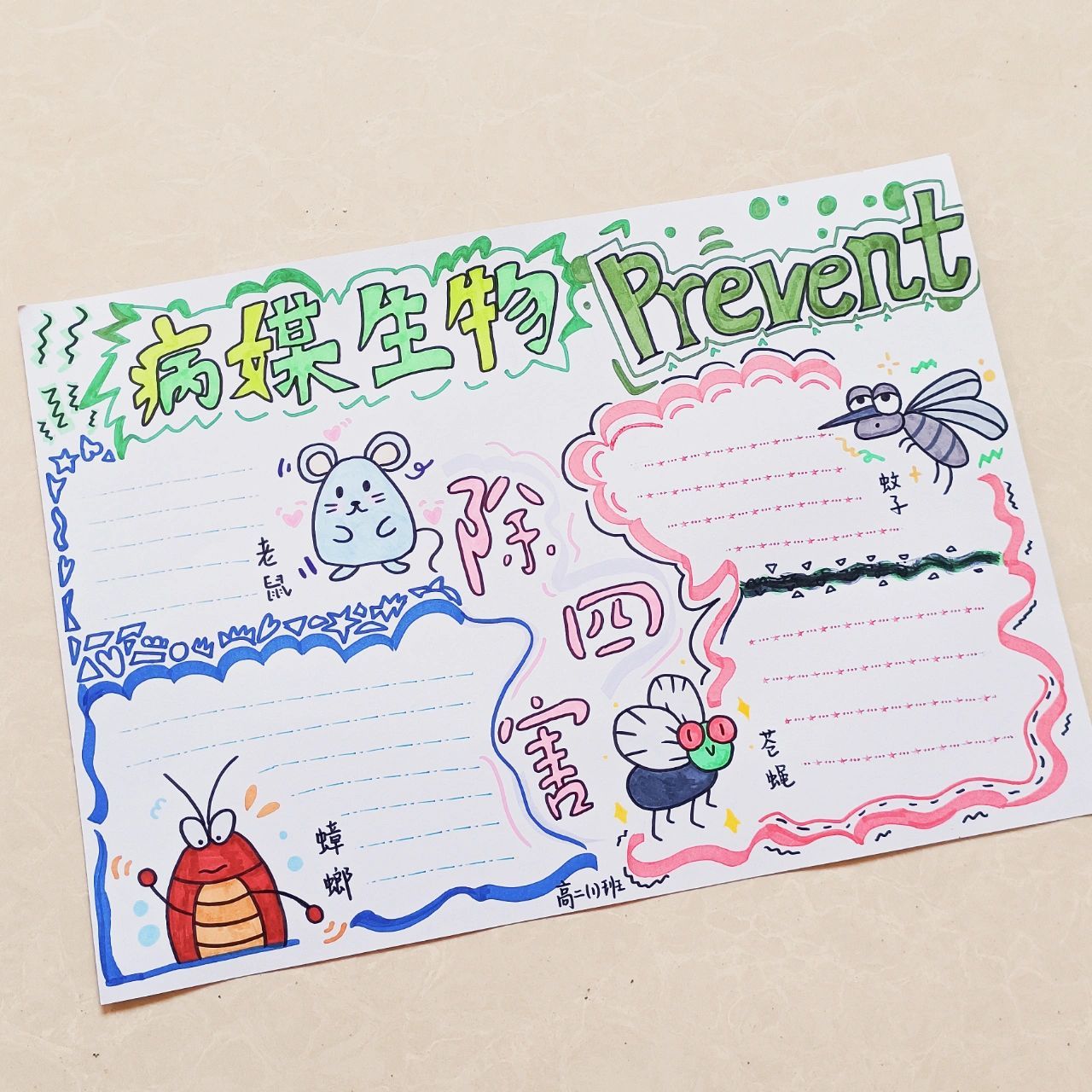 病媒生物防治手抄报 没填字原创