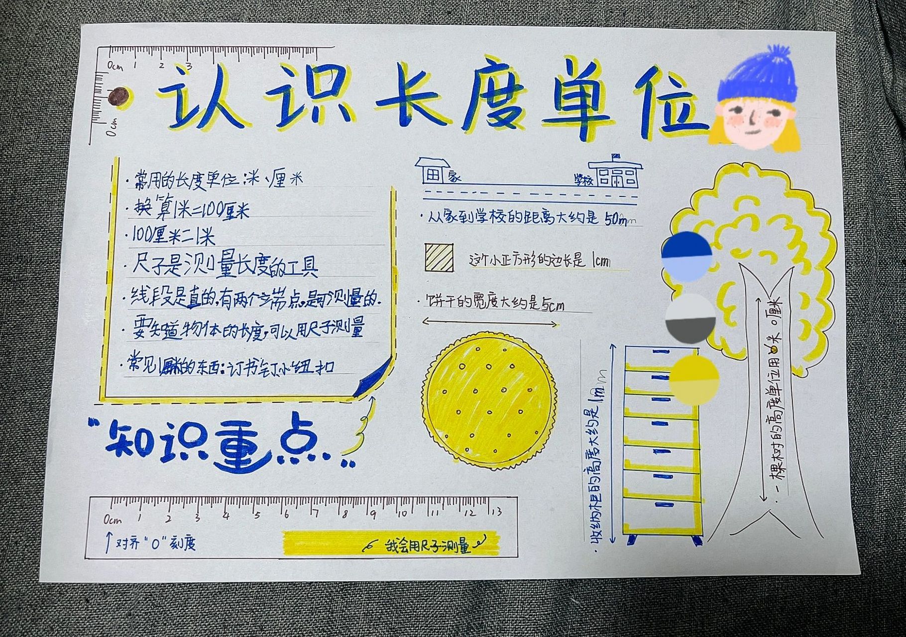 手抄报|二年级上长度单位91 数学小报 蓝黄配色清晰亮眼 知识点不多