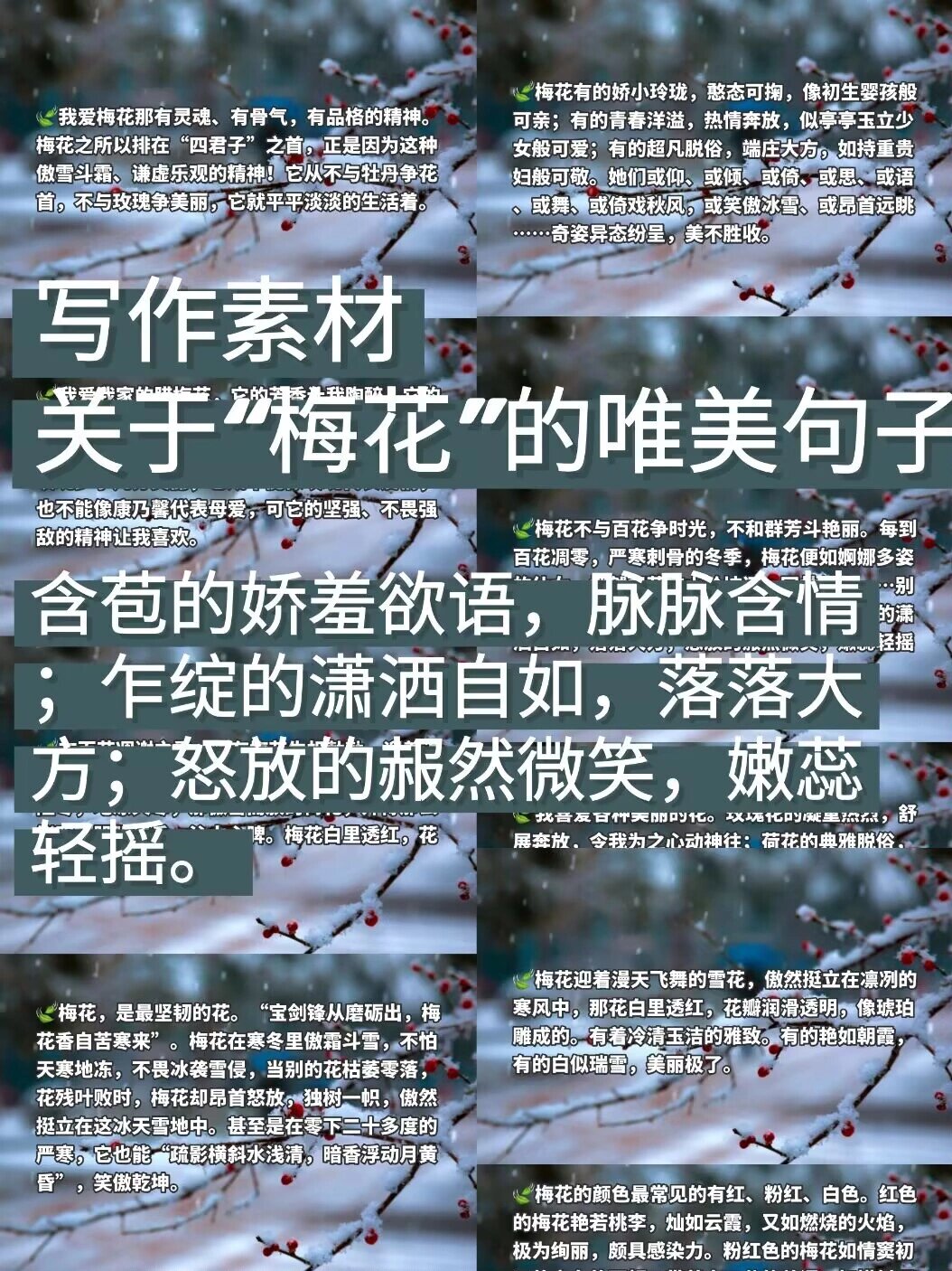 梅花美句图片