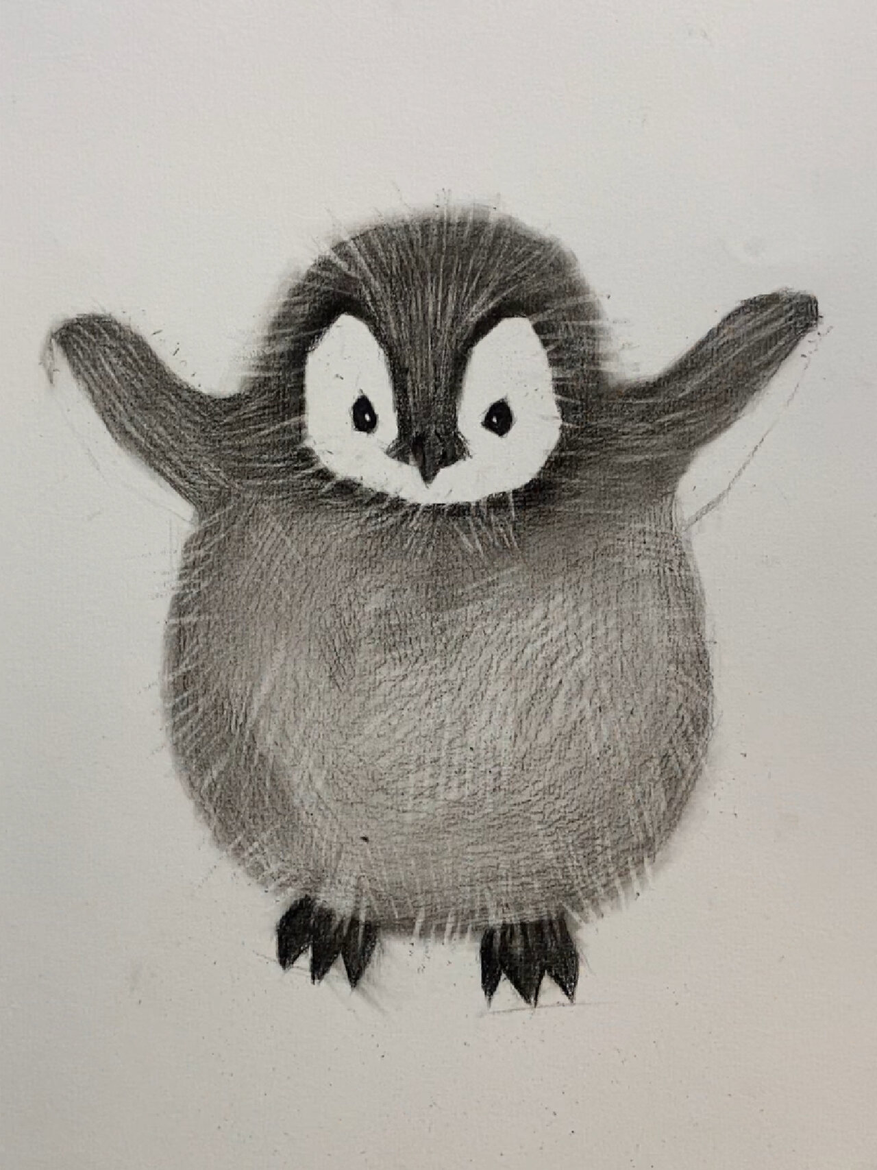 素描动物教学(企鹅篇)附详细过程图