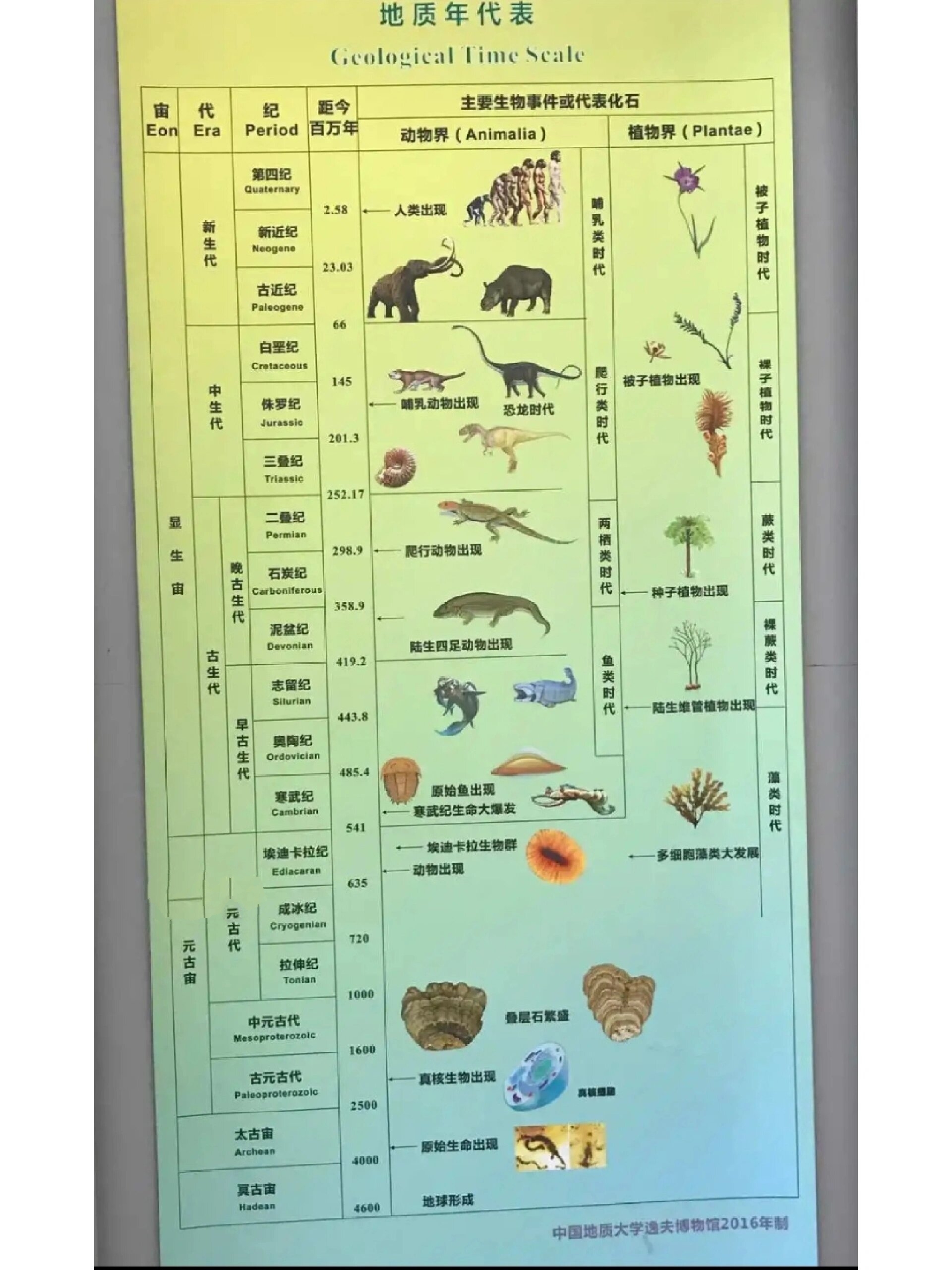 古生代的生物演化