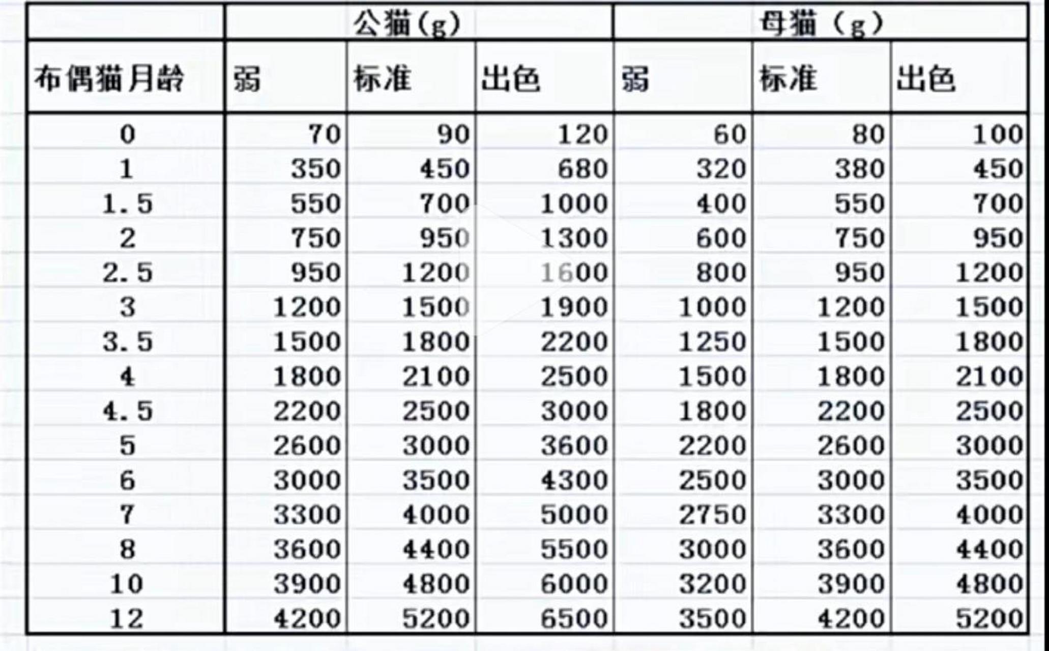 新生小猫体重周期表图片