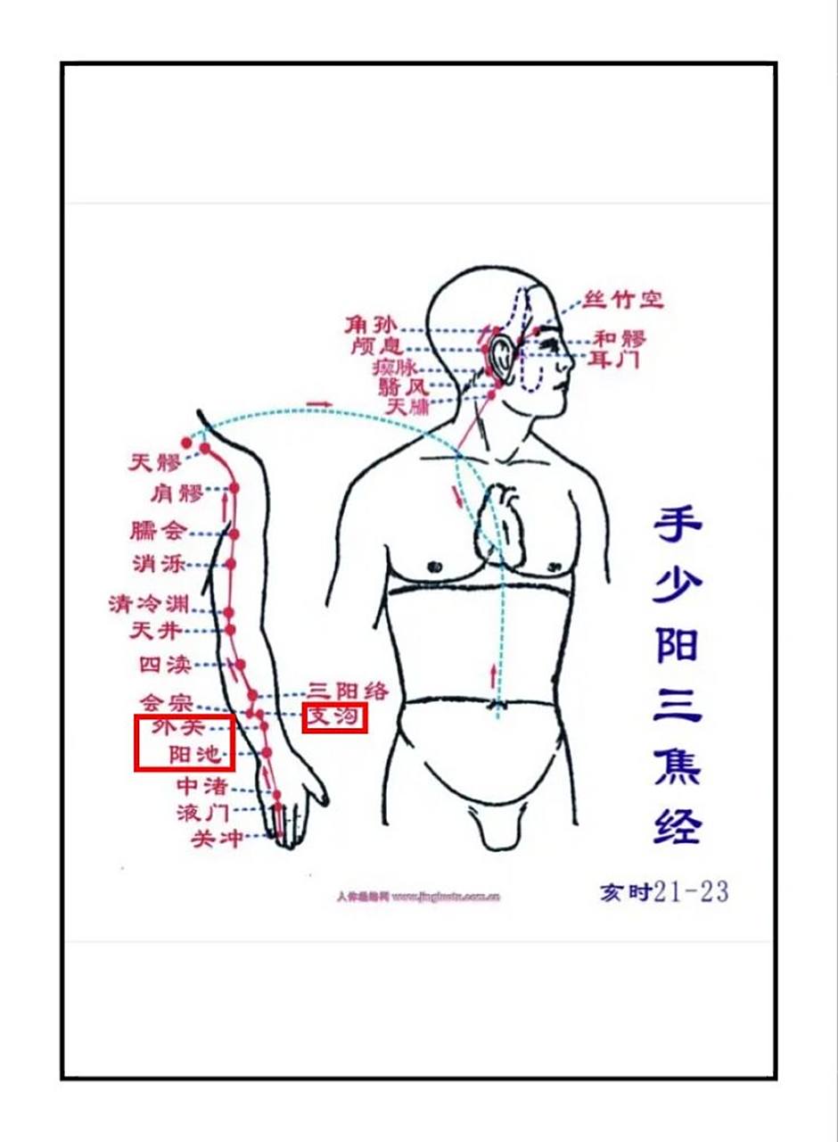 外关是人体与外界相通的门户.