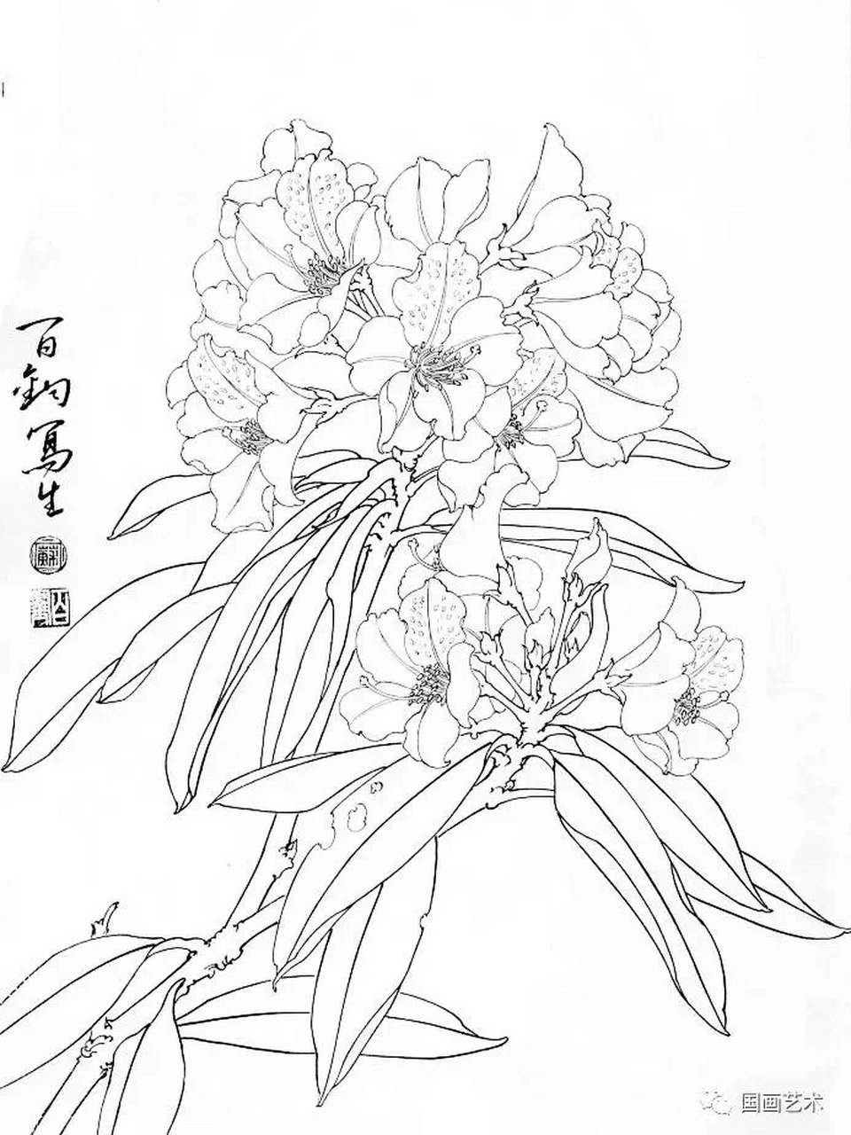 国画欣赏|苏百钧白描作品 苏百钧,中央美术学院教授,中国美术家协会