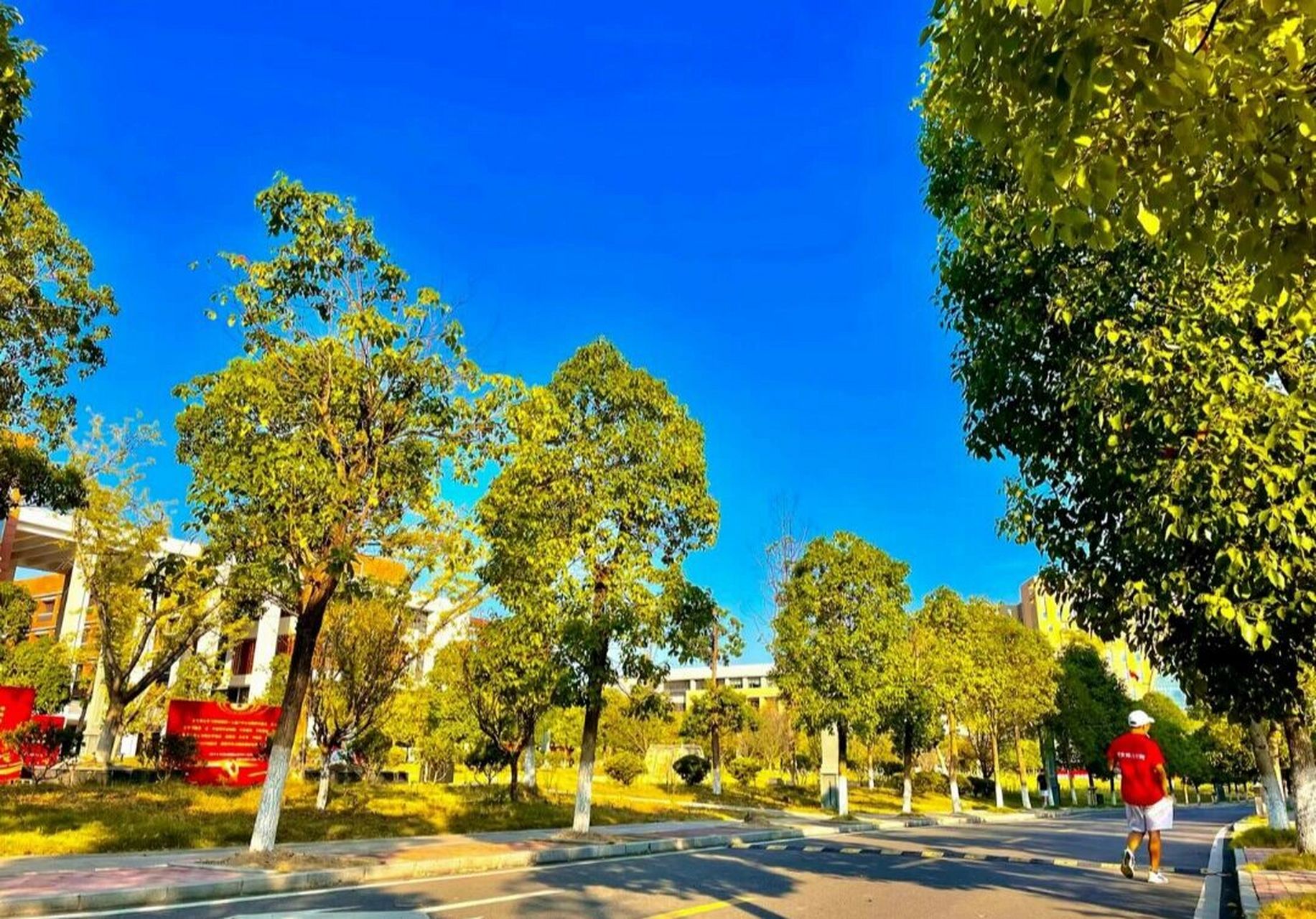 遵义医专了解 遵义医药高等专科学校(zunyi medical and