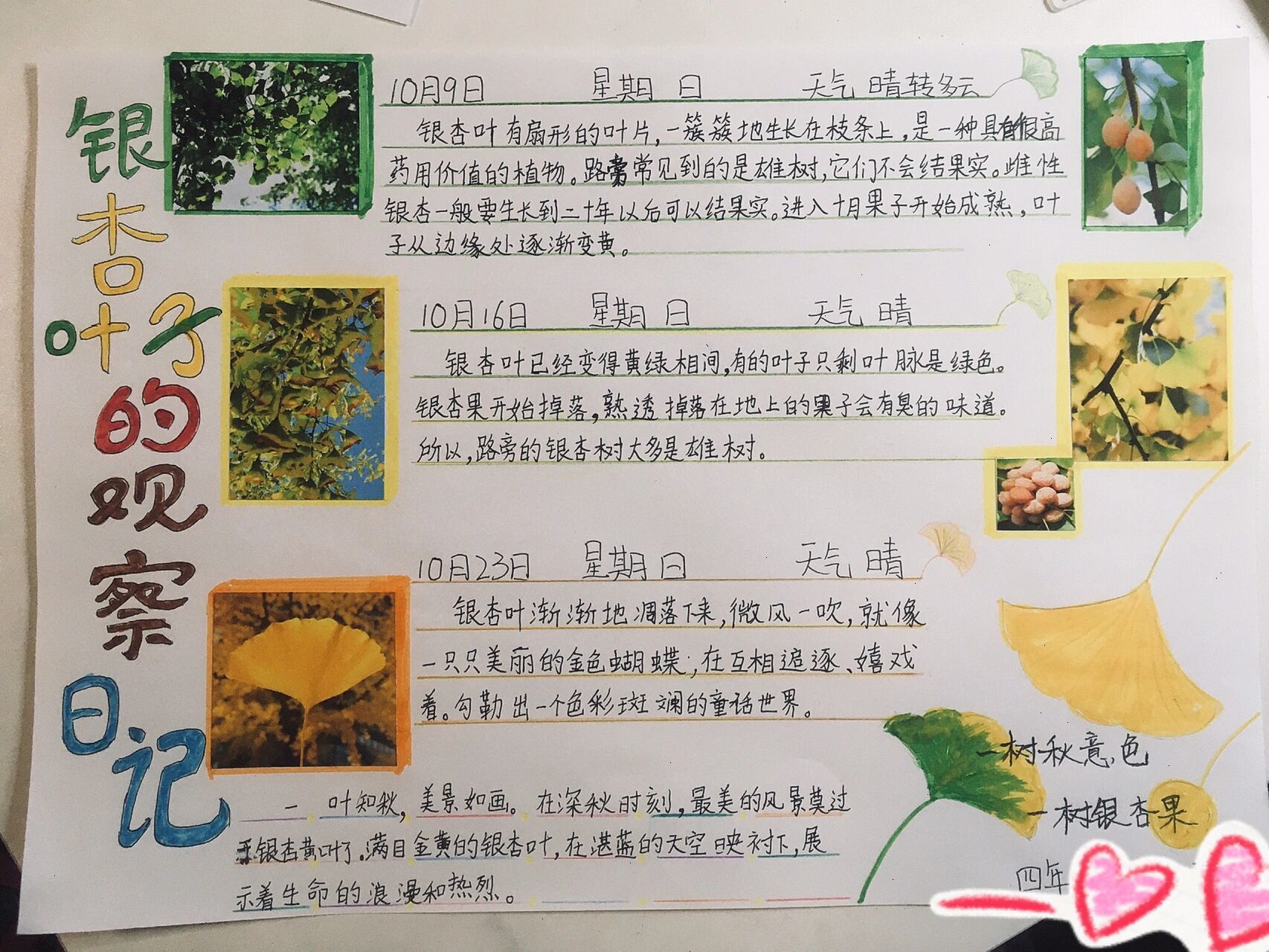 观察四年级植物生长(四年级观察植物生长过程作文400字)