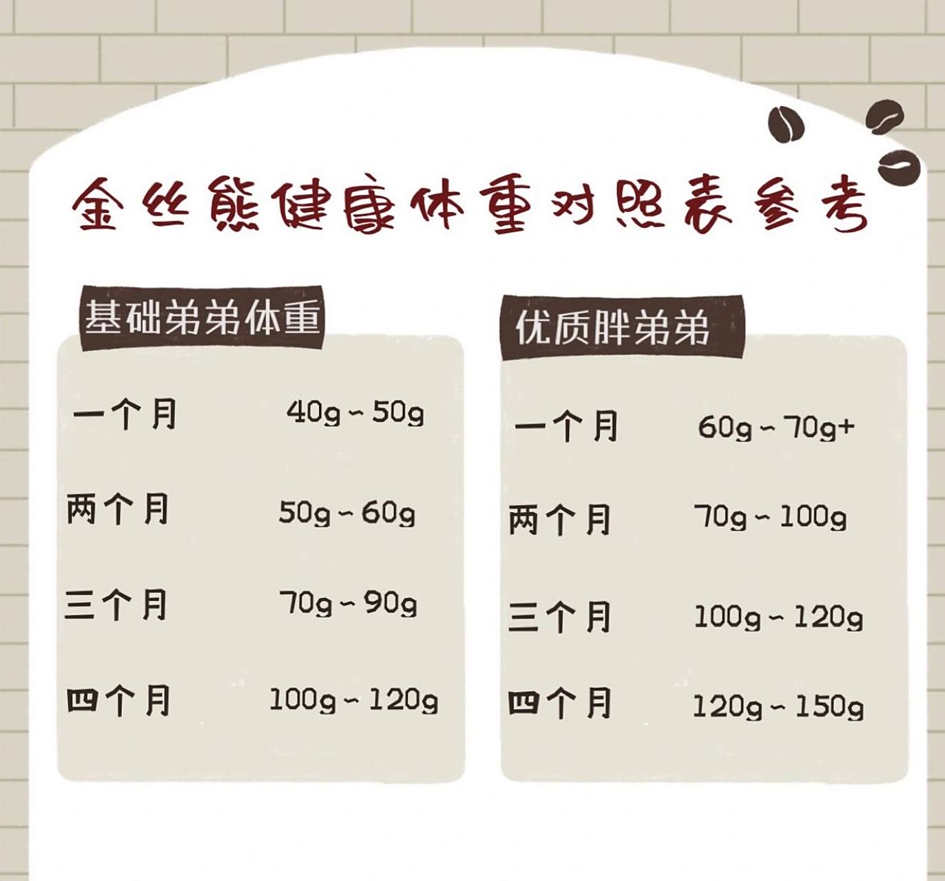 金丝熊健康体重对照参考       金丝熊的体重多少才健康呢?