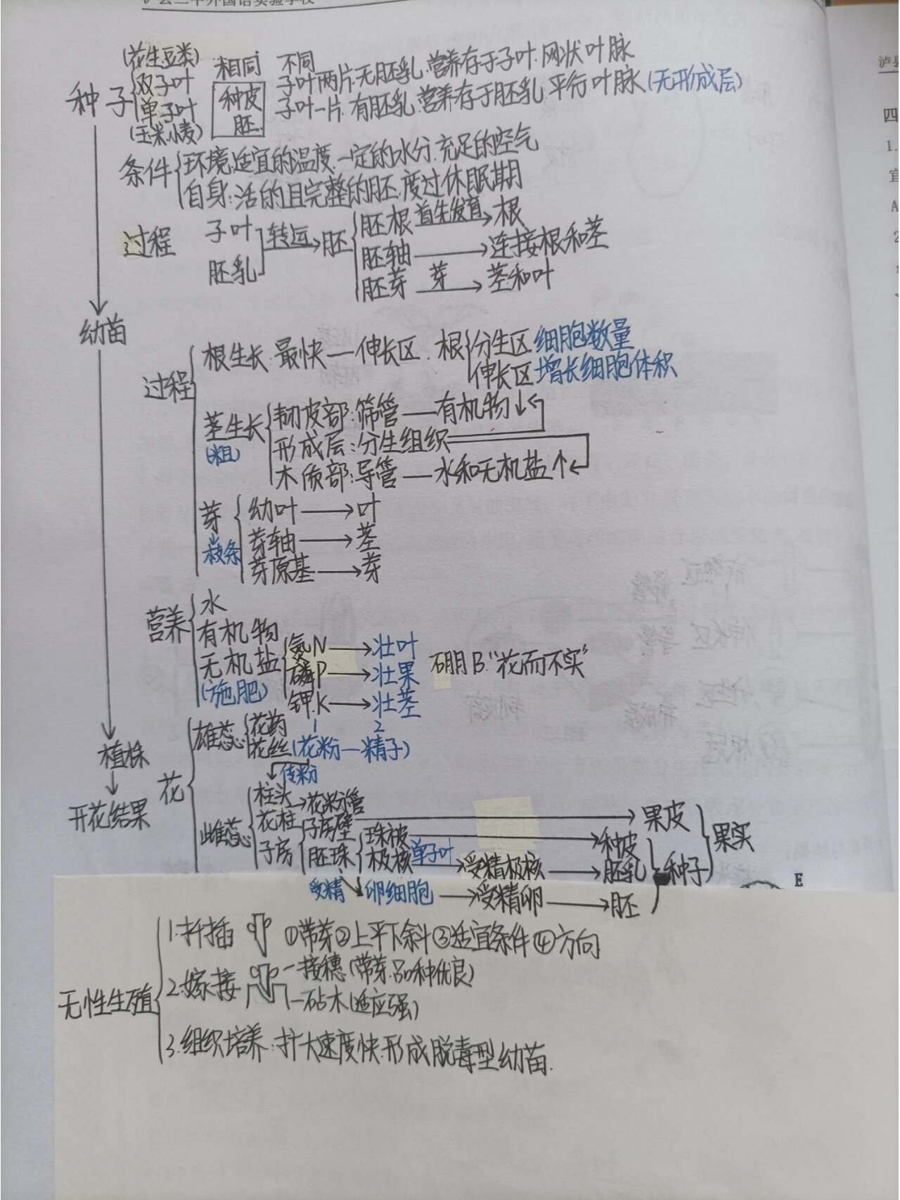 植株的生长的思维导图图片