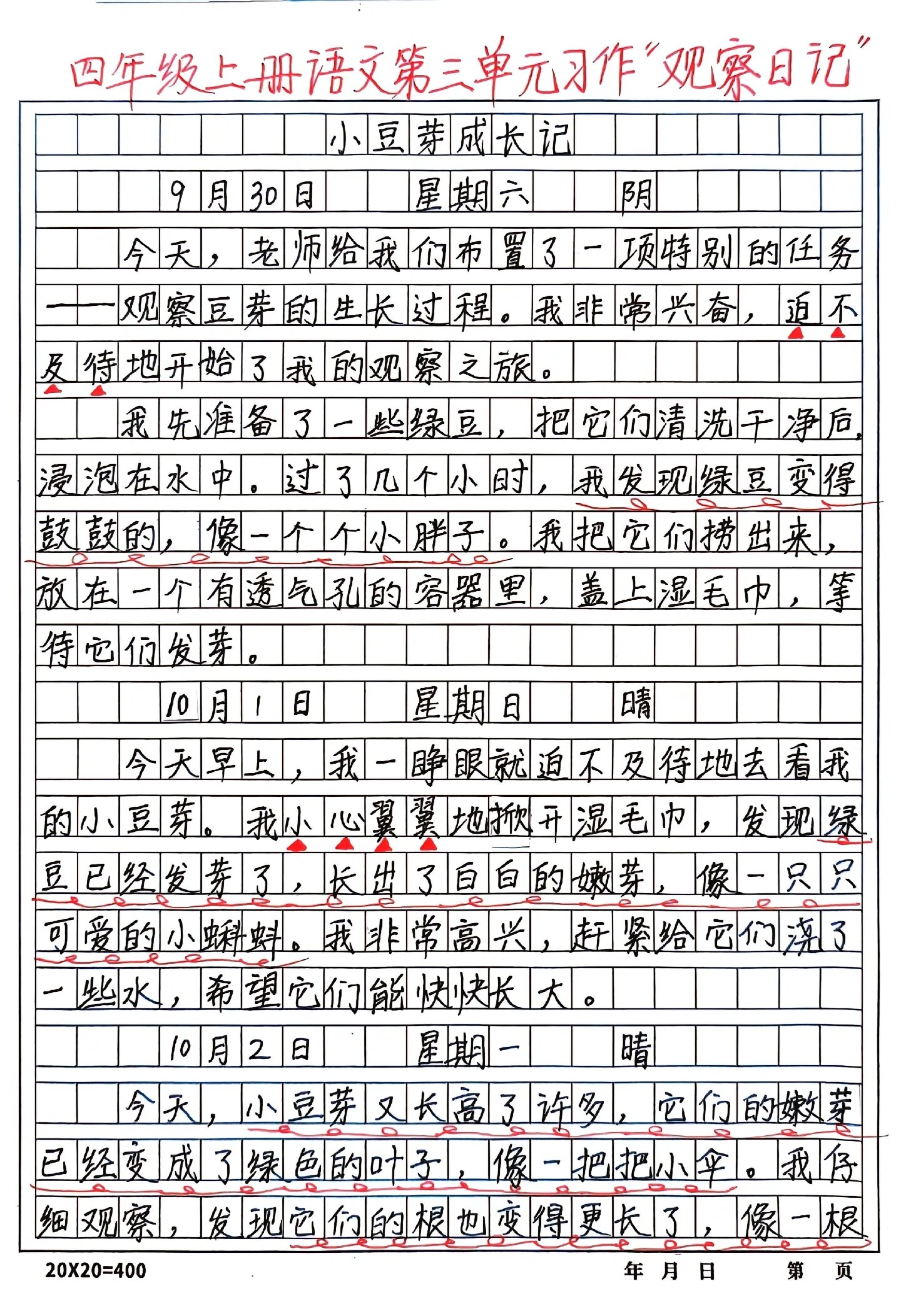 四年级日记200字观察图片