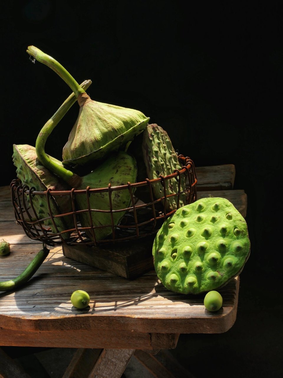 静物-莲蓬 没有凋零的悲哀,只有收获的欢愉.