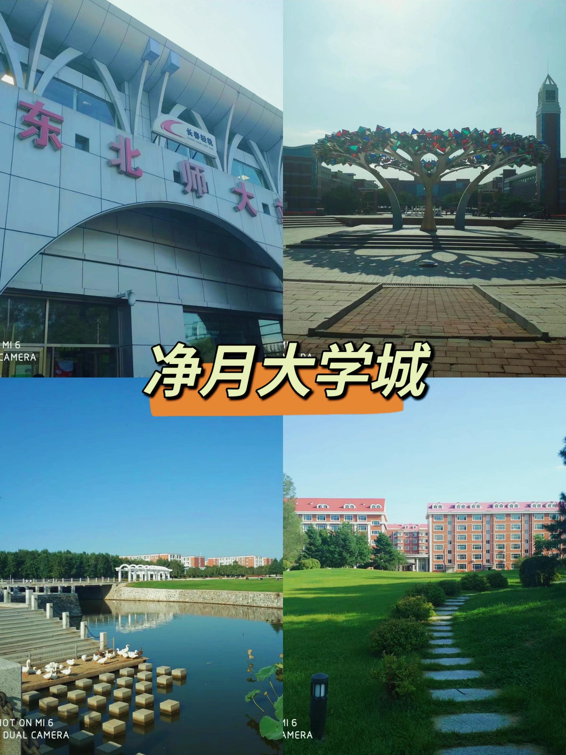 2017年的净月大学城 2017年,刚到长春