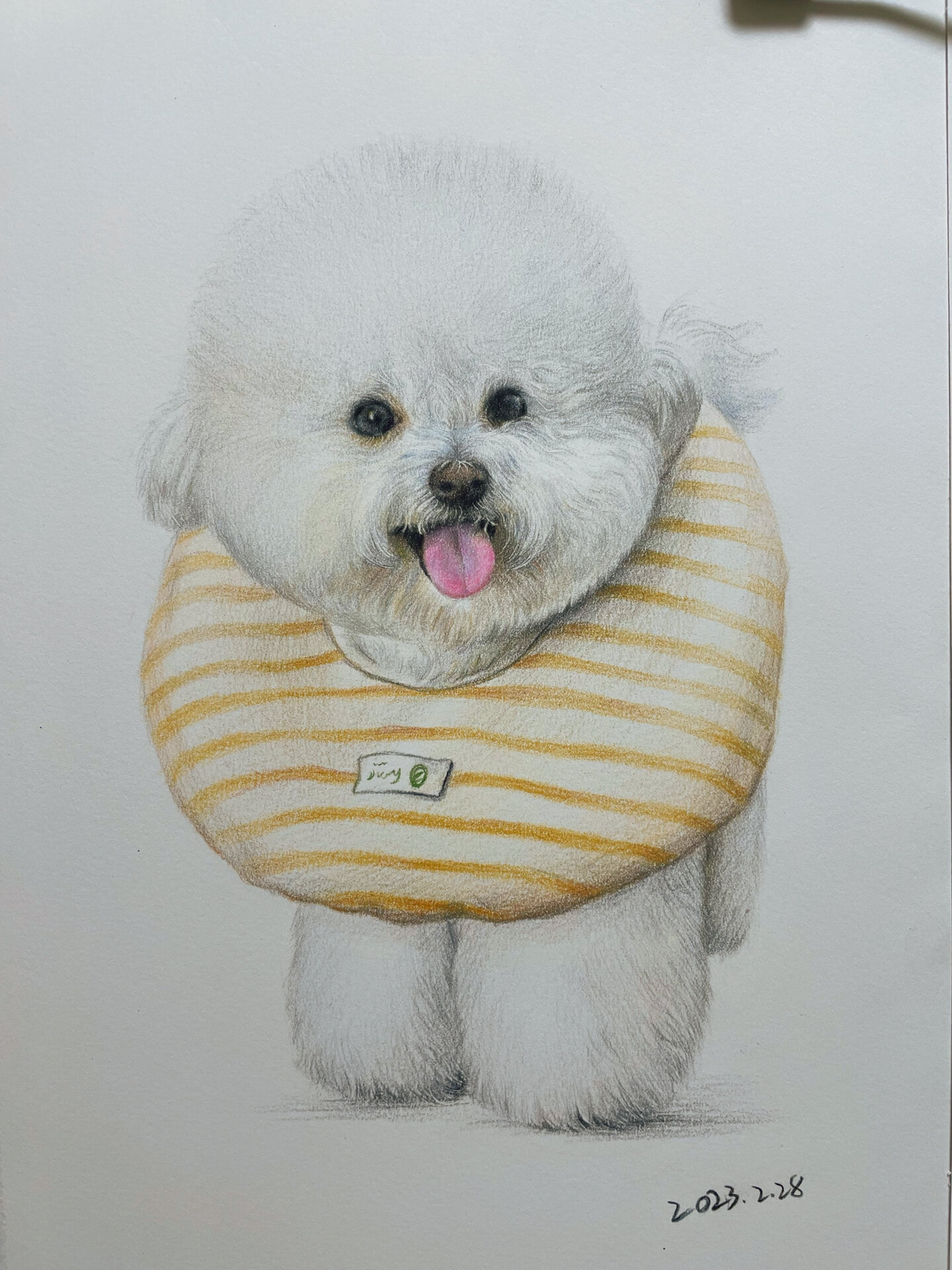 这是你的小可爱吗?彩铅小比熊(含步骤)