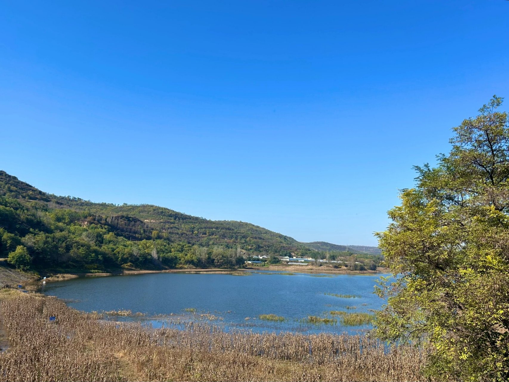 去淳化遇见秋天   周末和好盆友一起庆祝他们结婚十周年 也是我和老公