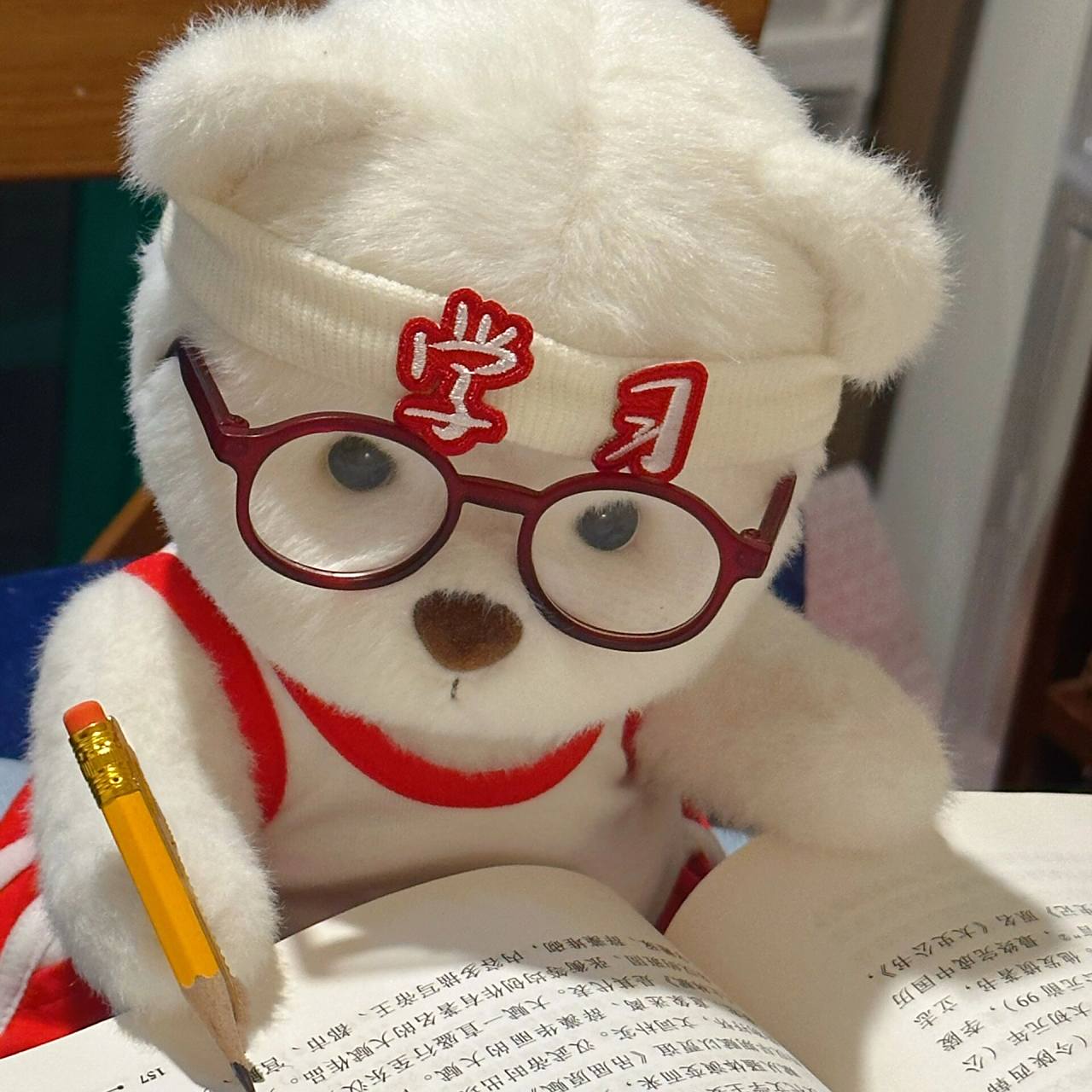 奋斗小熊第二弹|学习头像 宝宝们看看可以和上一篇搭情侣头像吗23˙