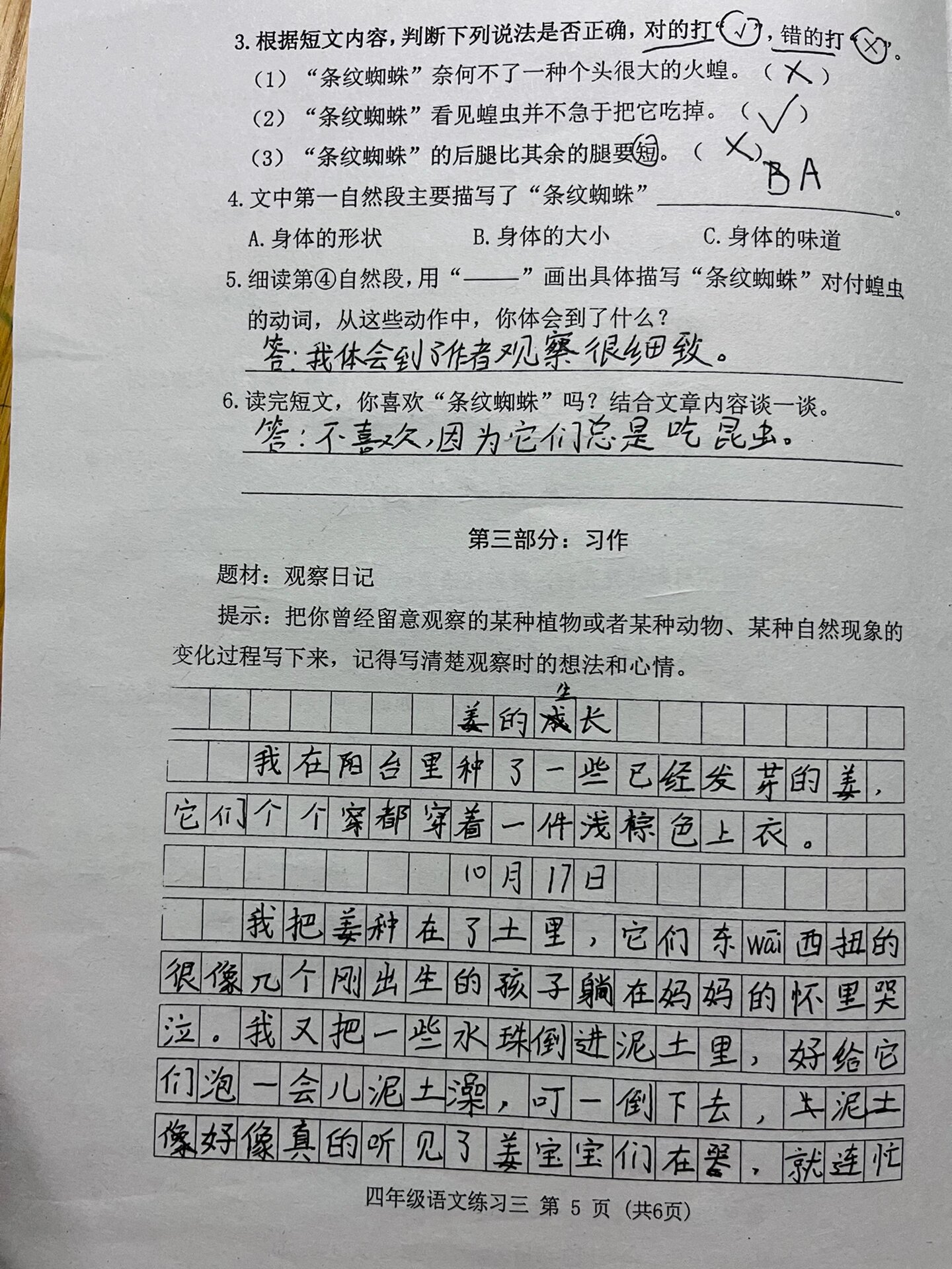 搜一篇观察日记作文四百字(搜一篇观察日记作文四百字怎么写)