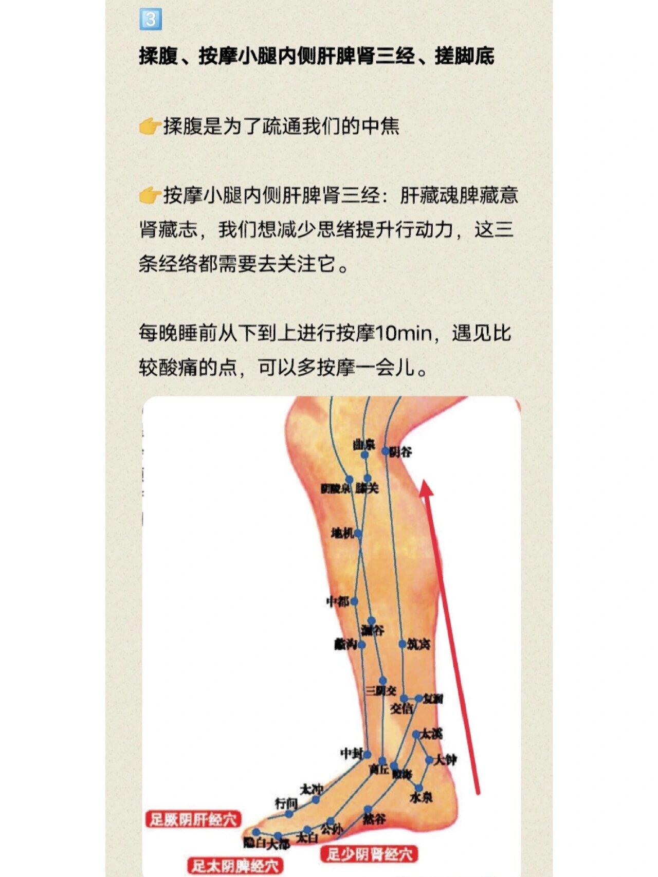 肝脾肾三经循行线路图图片