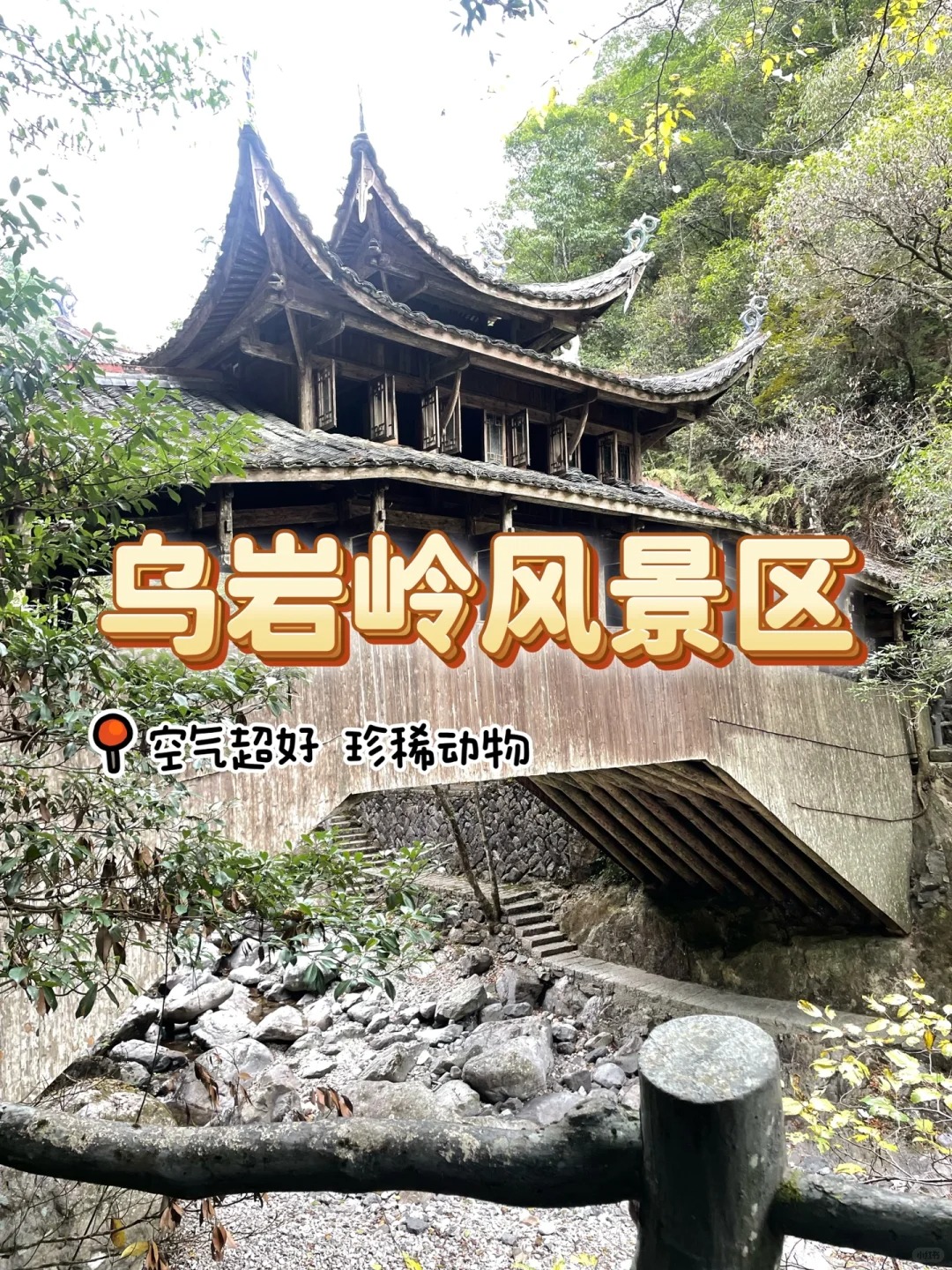 泰顺一日游必去景点