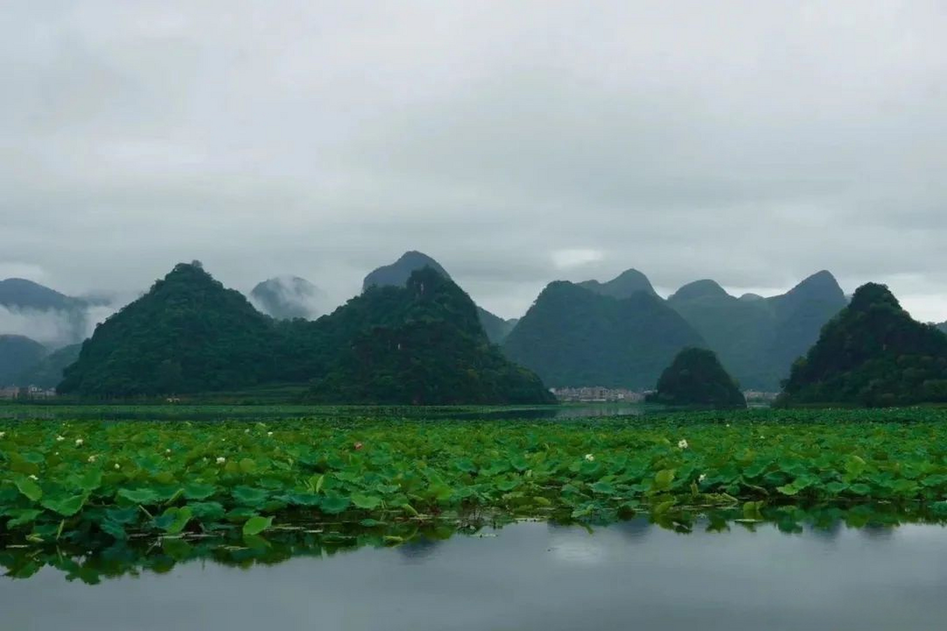 文山州普者黑景区  文山州普者黑景区位于云南省文山壮族苗族自治州