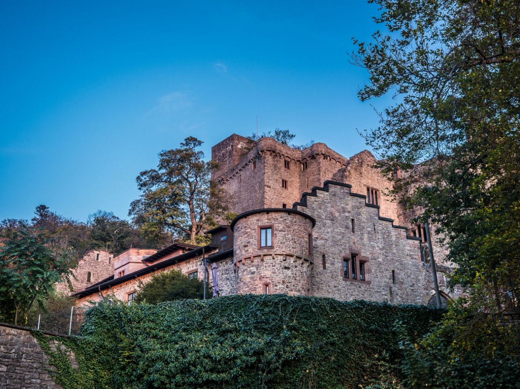 欧洲游记12-德国黑森林blackforest 早起启程前往titisee,晨雾中收下