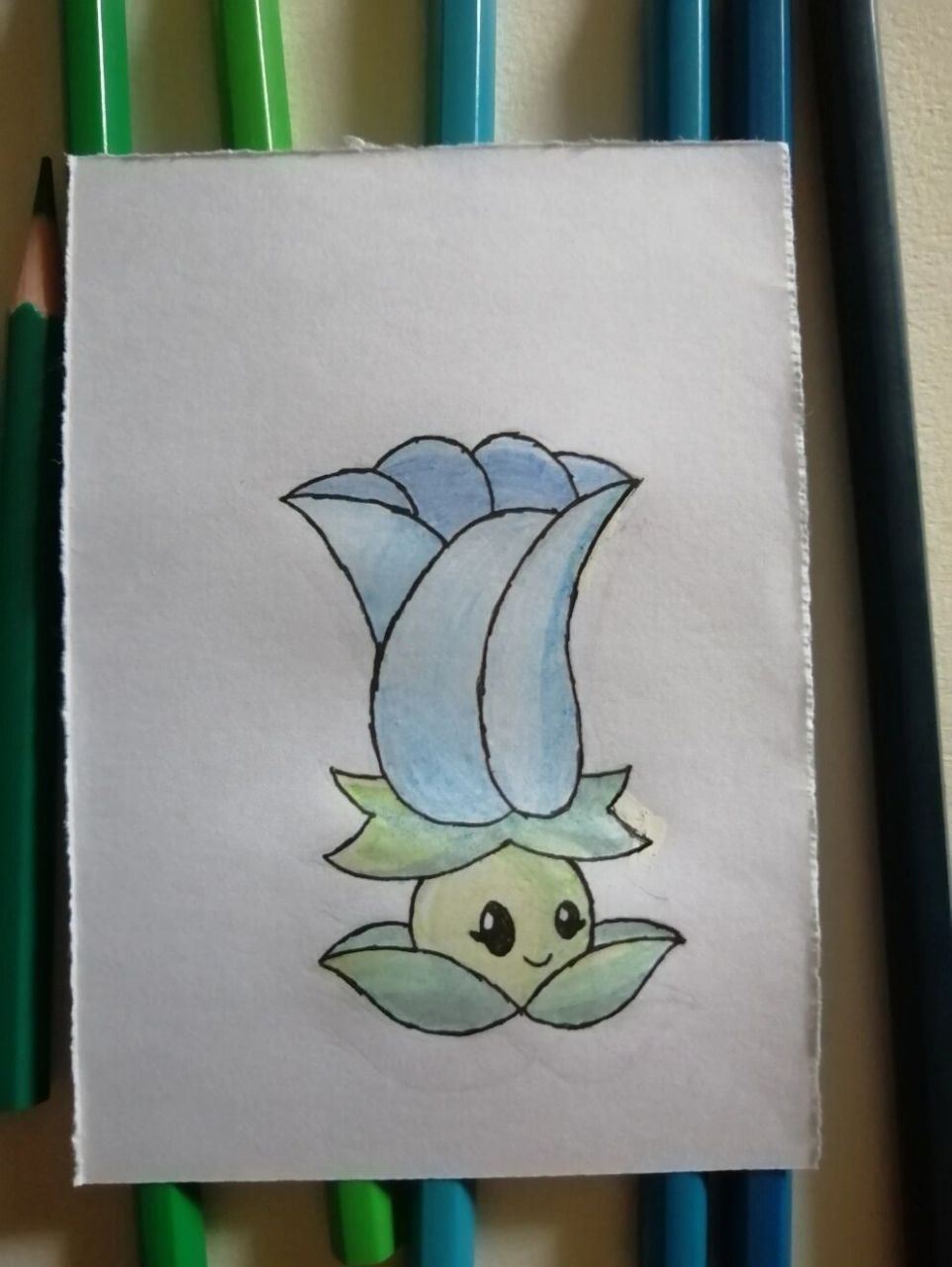 植物绘画,月光花      中秋节快乐,植友们