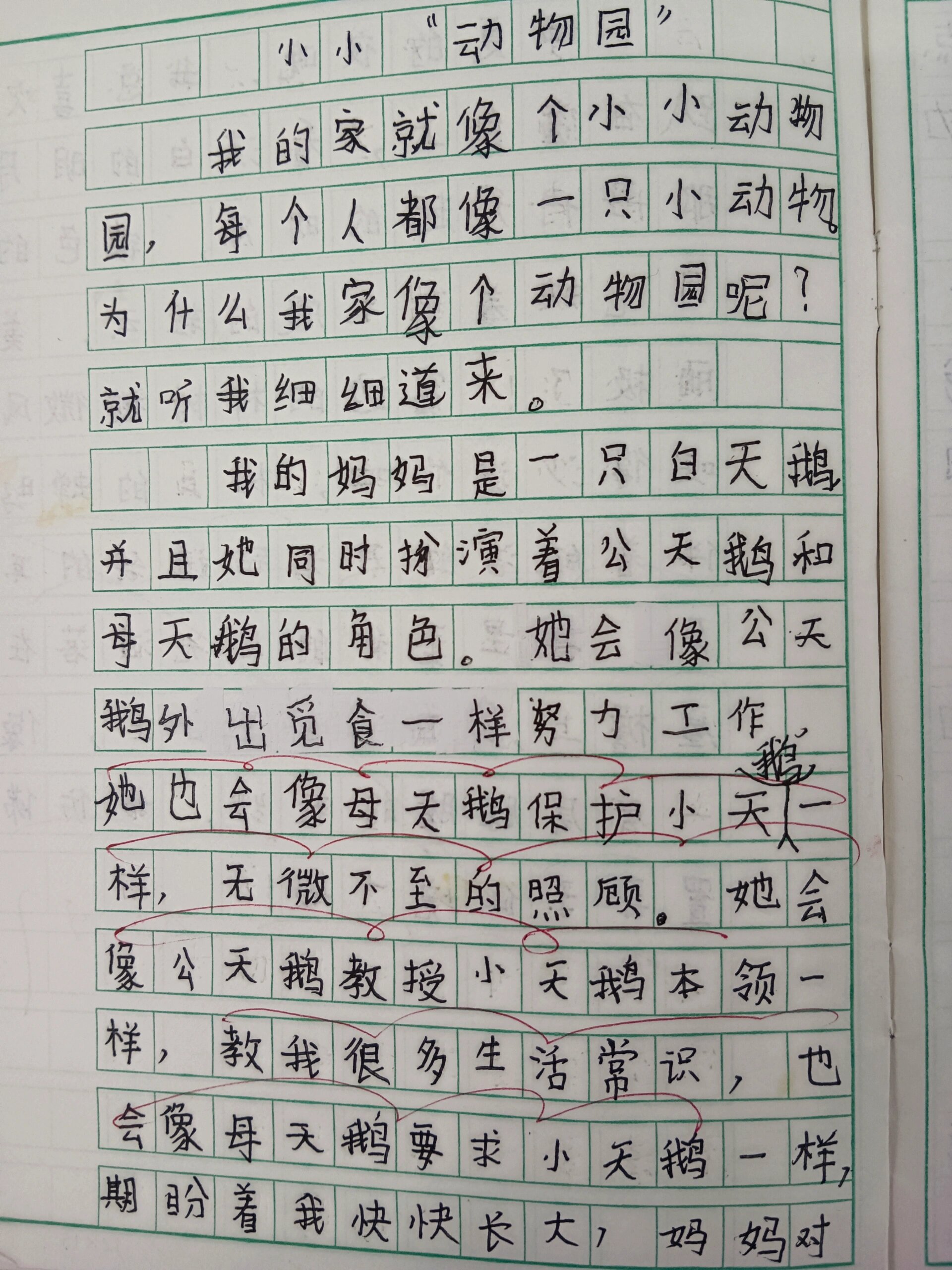 小小动物园.200字图片