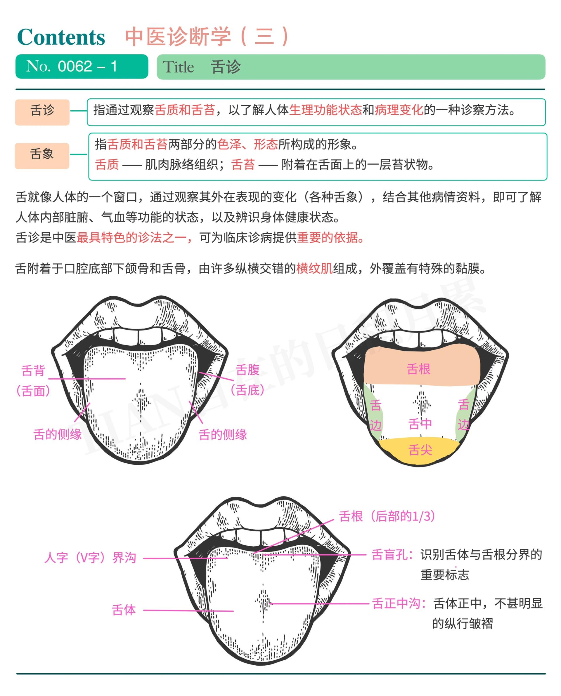 观舌看病图解图片