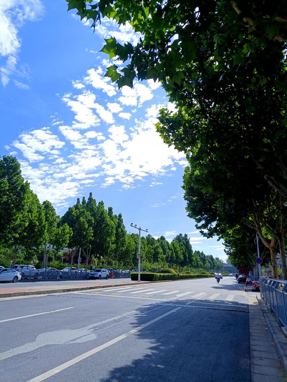 昨天一场大雨,今天郑州少有的好天气,记忆中有一年没看到了,就是老在7