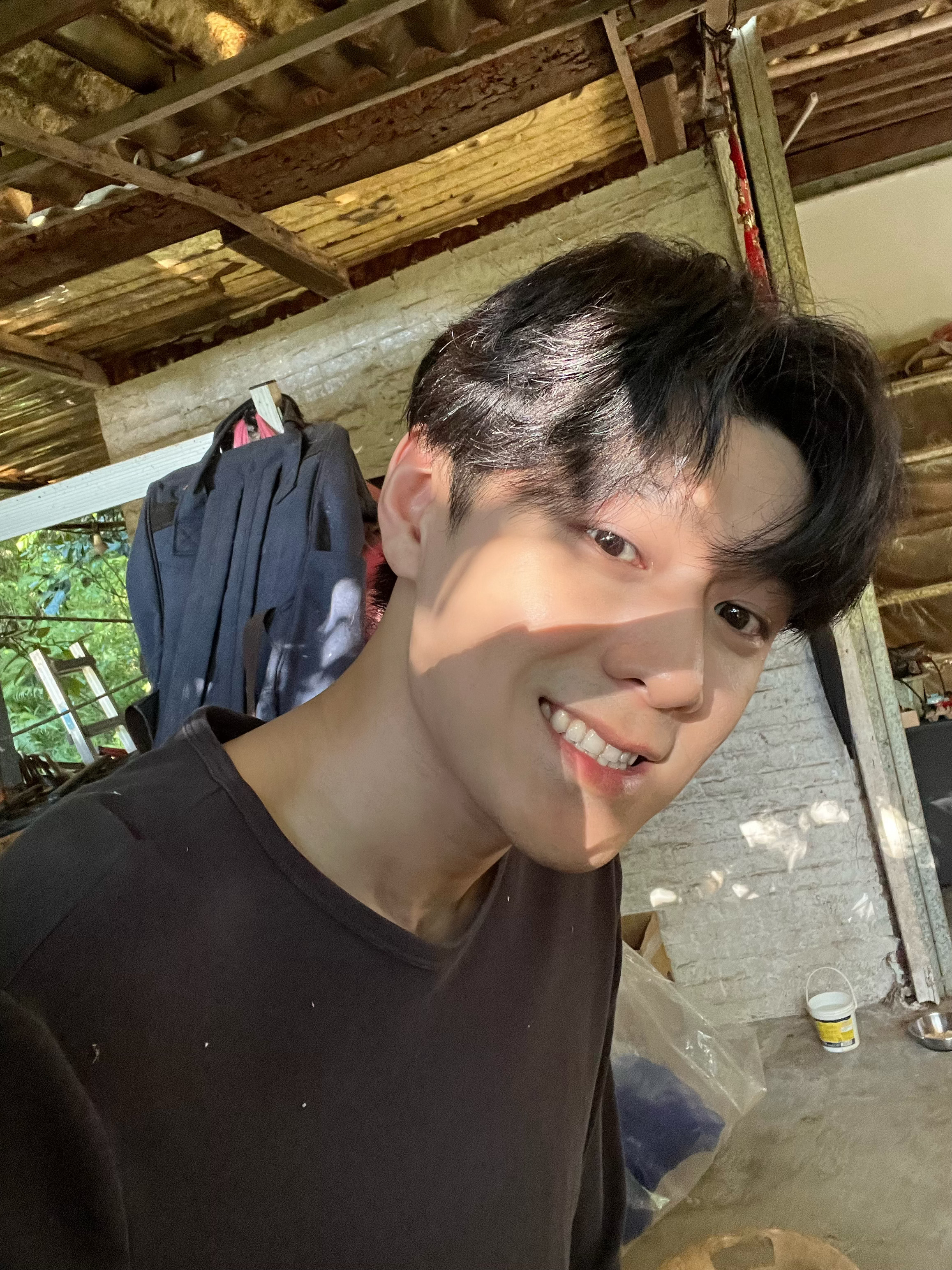 最近开始变凉啦,树叶也开始变黄了 还好没有比我家的狗还黄