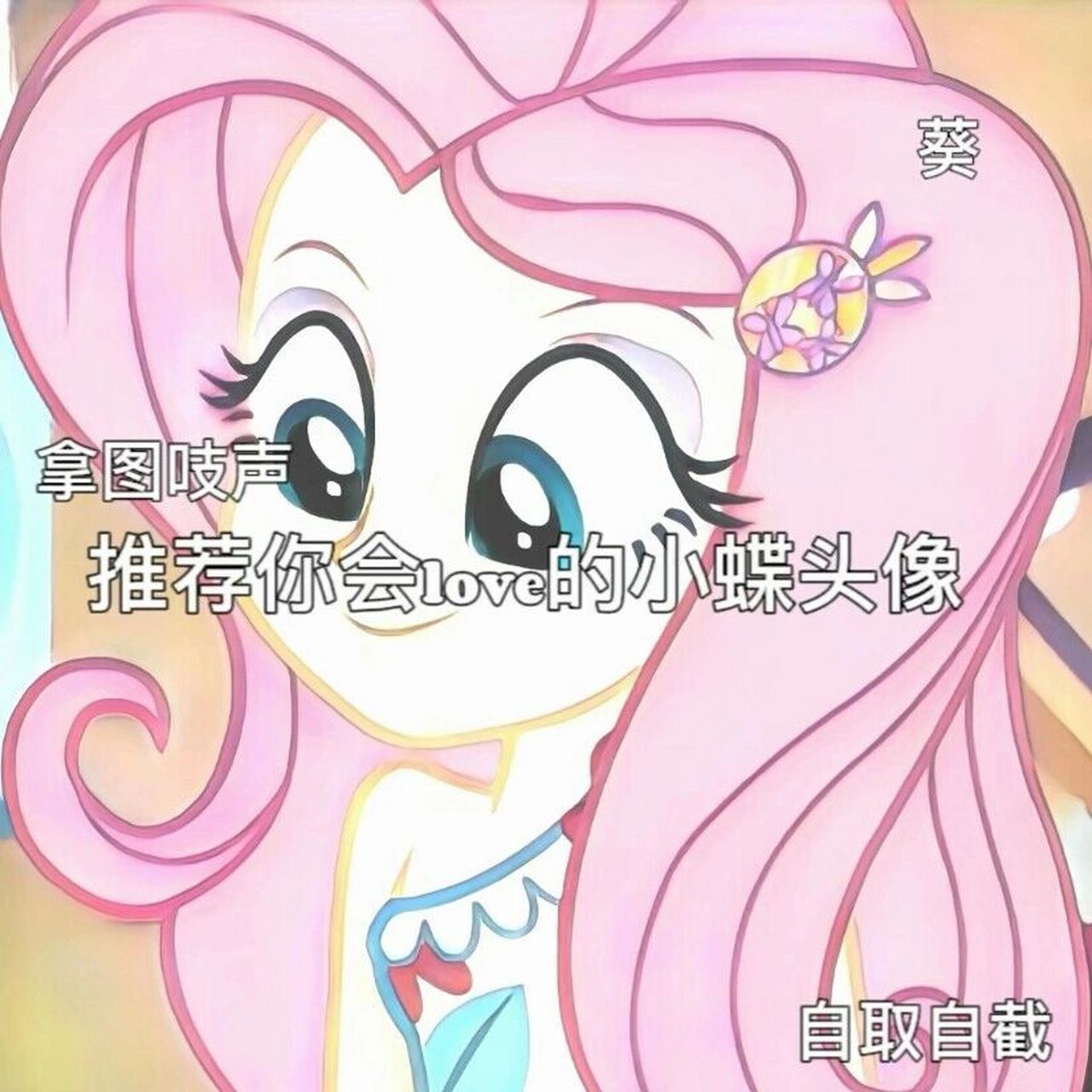 "温柔的代表"小蝶头像