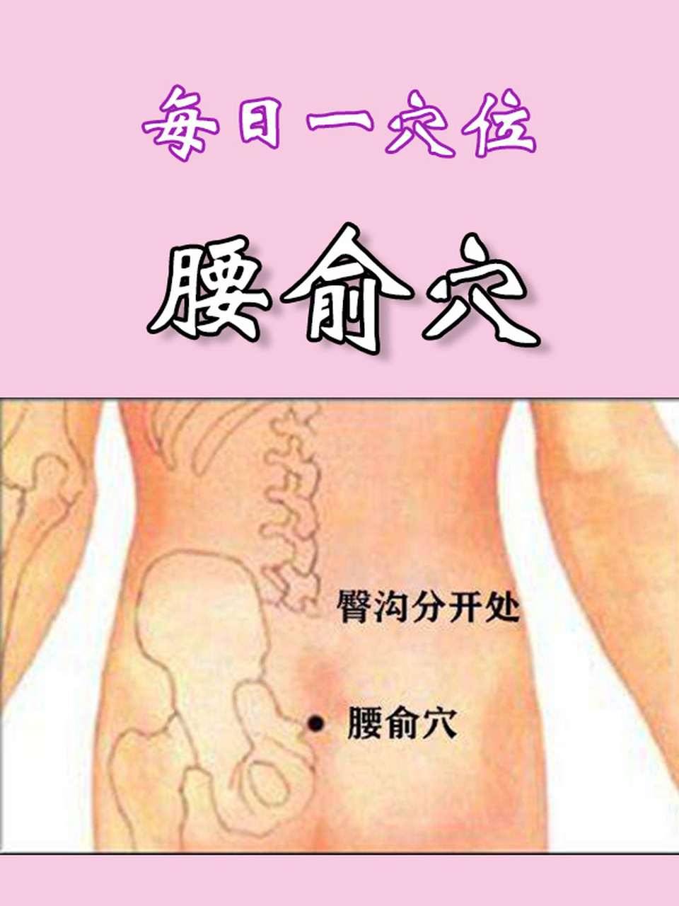 每日一药(十六)腰俞穴 【定位】在骶部,当后正中线上,适对骶管裂孔.