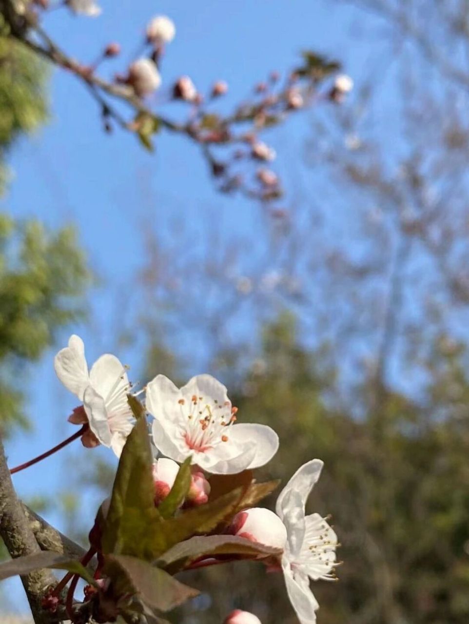 西华大学宿舍篇 宿舍篇之三苑一舍 锦地苑98 首先,我们先来到的是锦