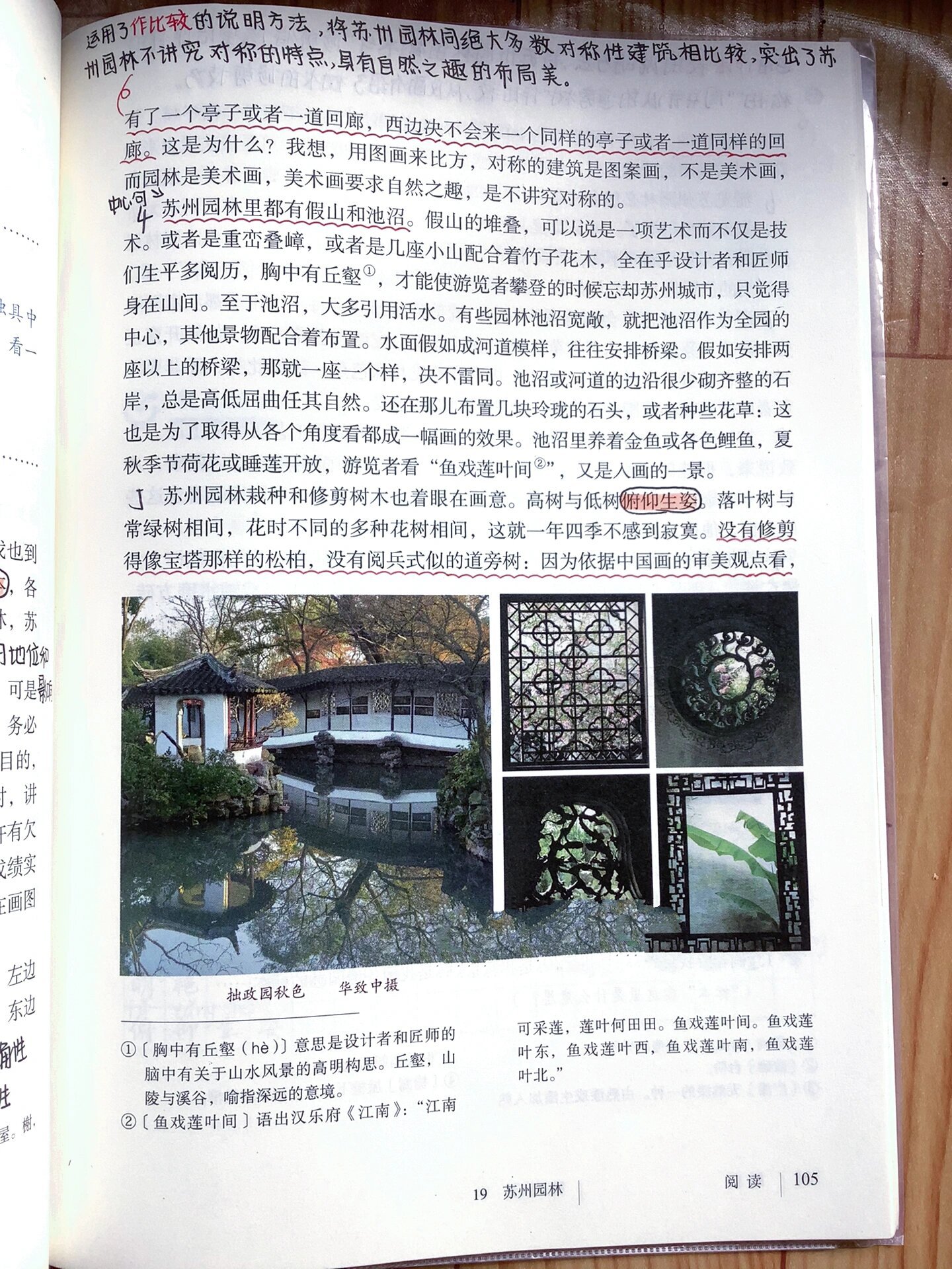 八年级上册|语文|第19课 八年级上册语文第1661596615课课堂