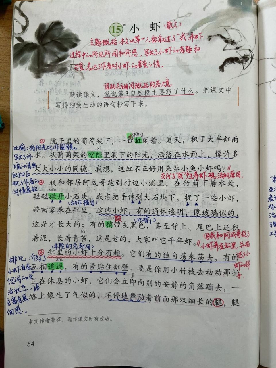 36615下备课笔记/《小虾》08 #三年级语文下册# #语文笔记