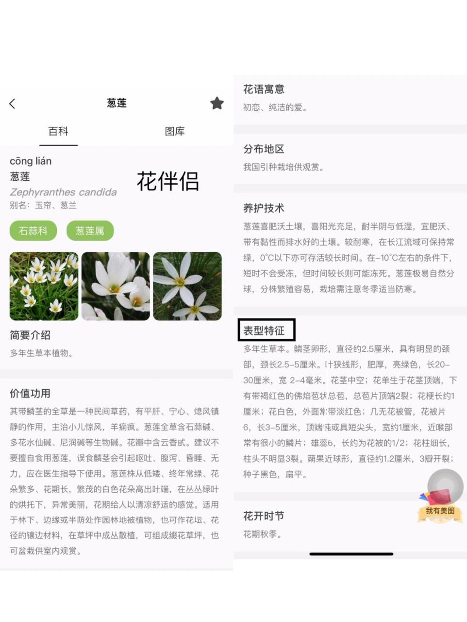 植物识别app 1,2适合对植物学感兴趣的朋友,可以学习植物分类,植物