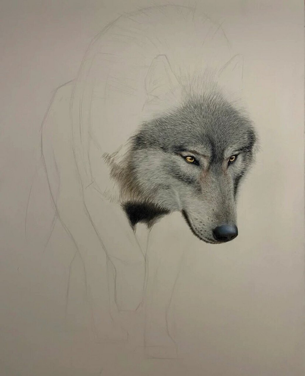 彩铅大灰狼!你们就说真不真86615 你们就说怎么样吧,我不评价了