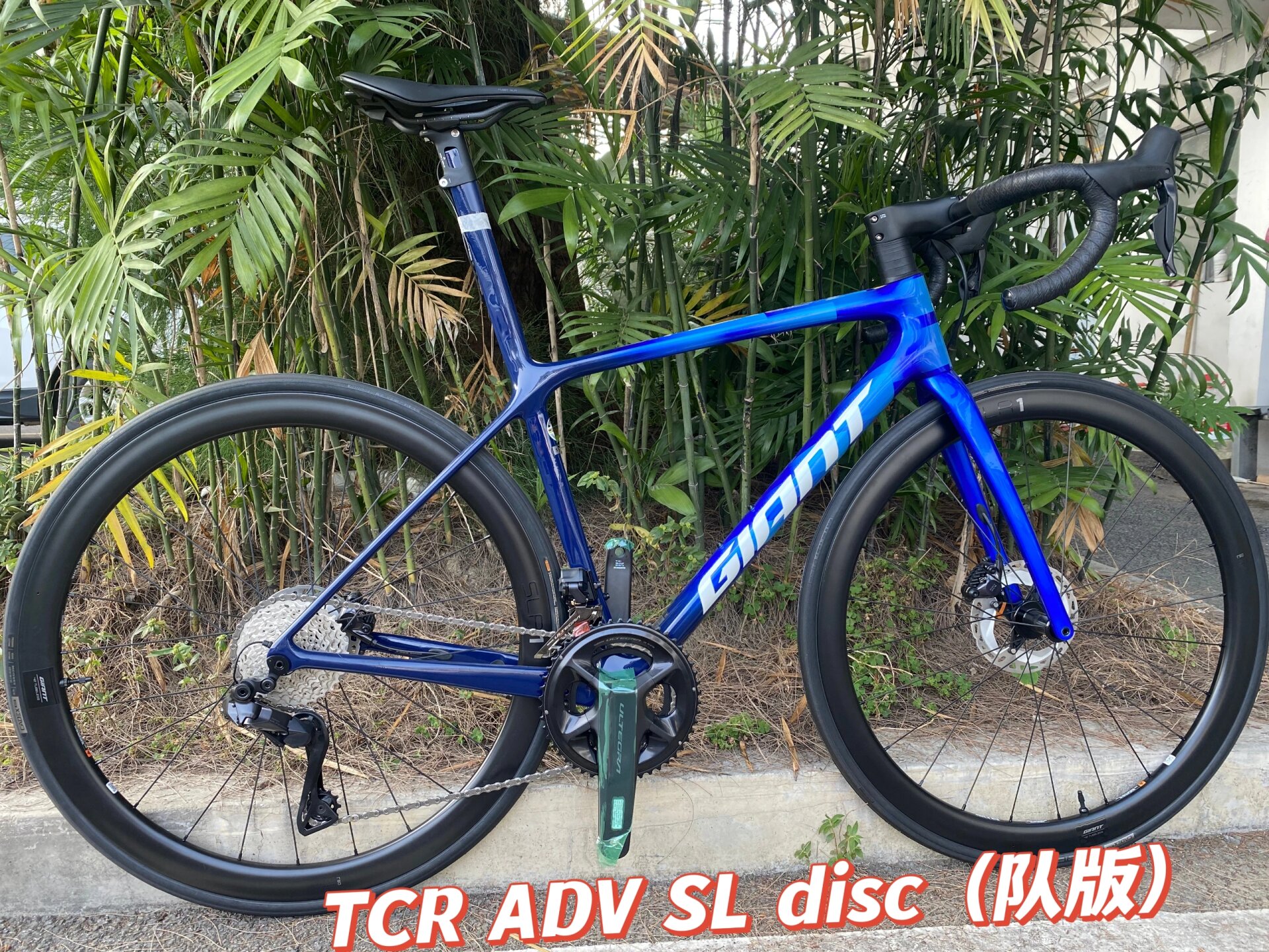现货捷安特tcr  adv  sl disc(车队版)