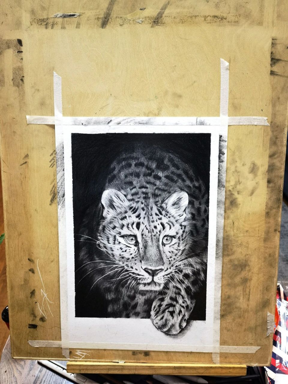 动物素描 豹 动物系列画了好多了