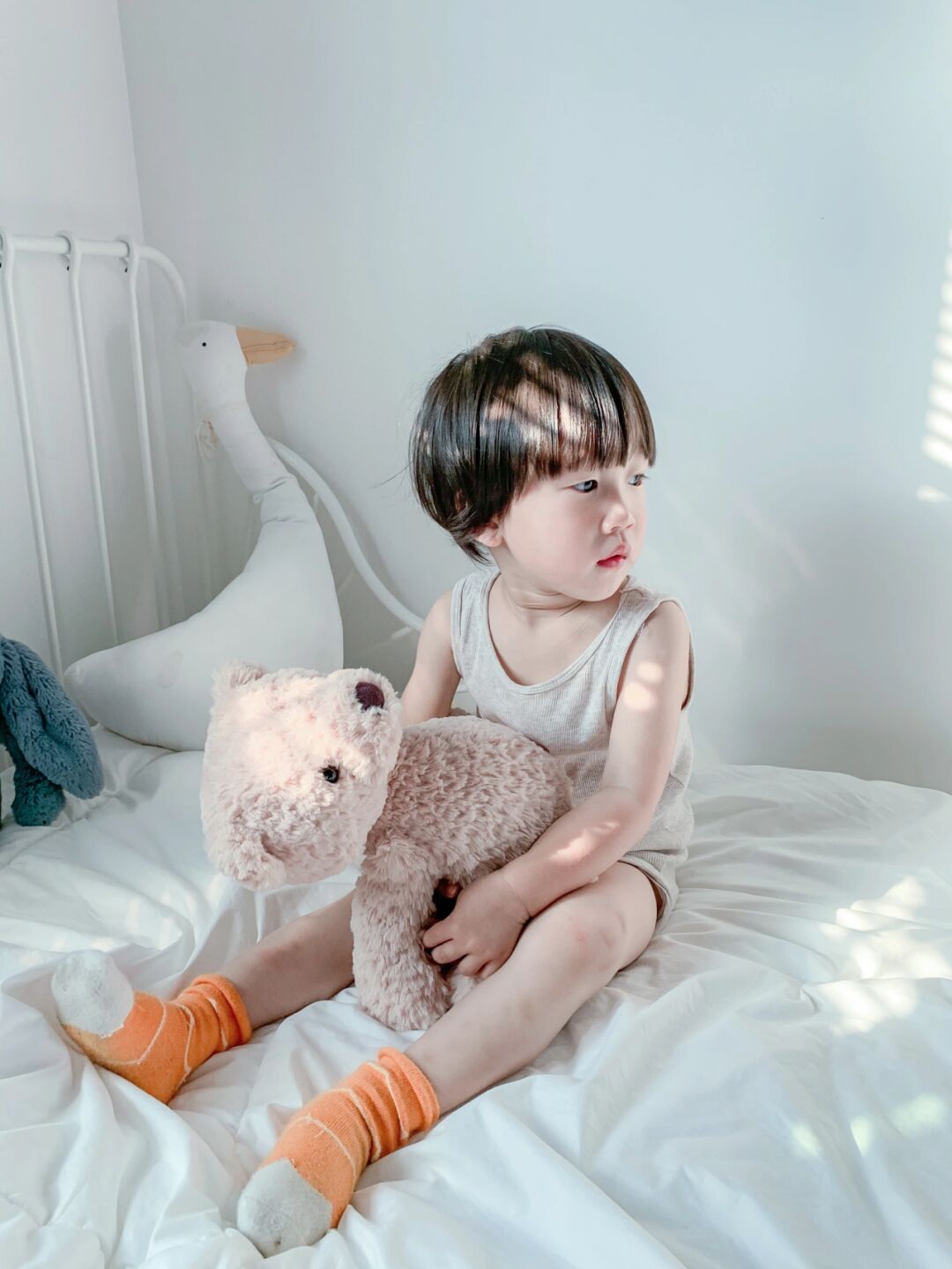 场景 布置好一个比较干净,温馨的家居场景 可以是一个房间,也可以是