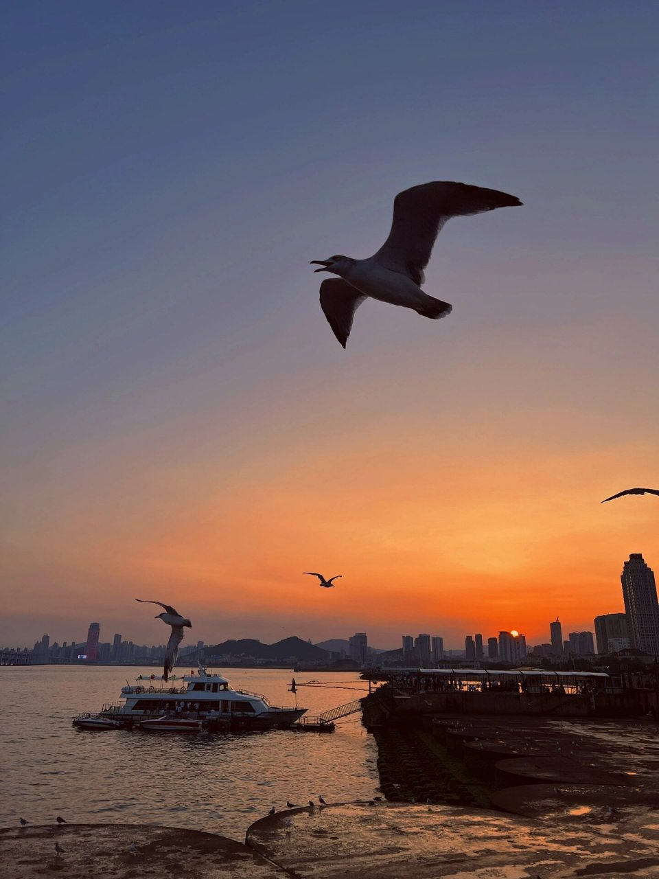 少走弯路 星海广场(图1-7)必去7515 要拍海鸥照片还是星海广场最