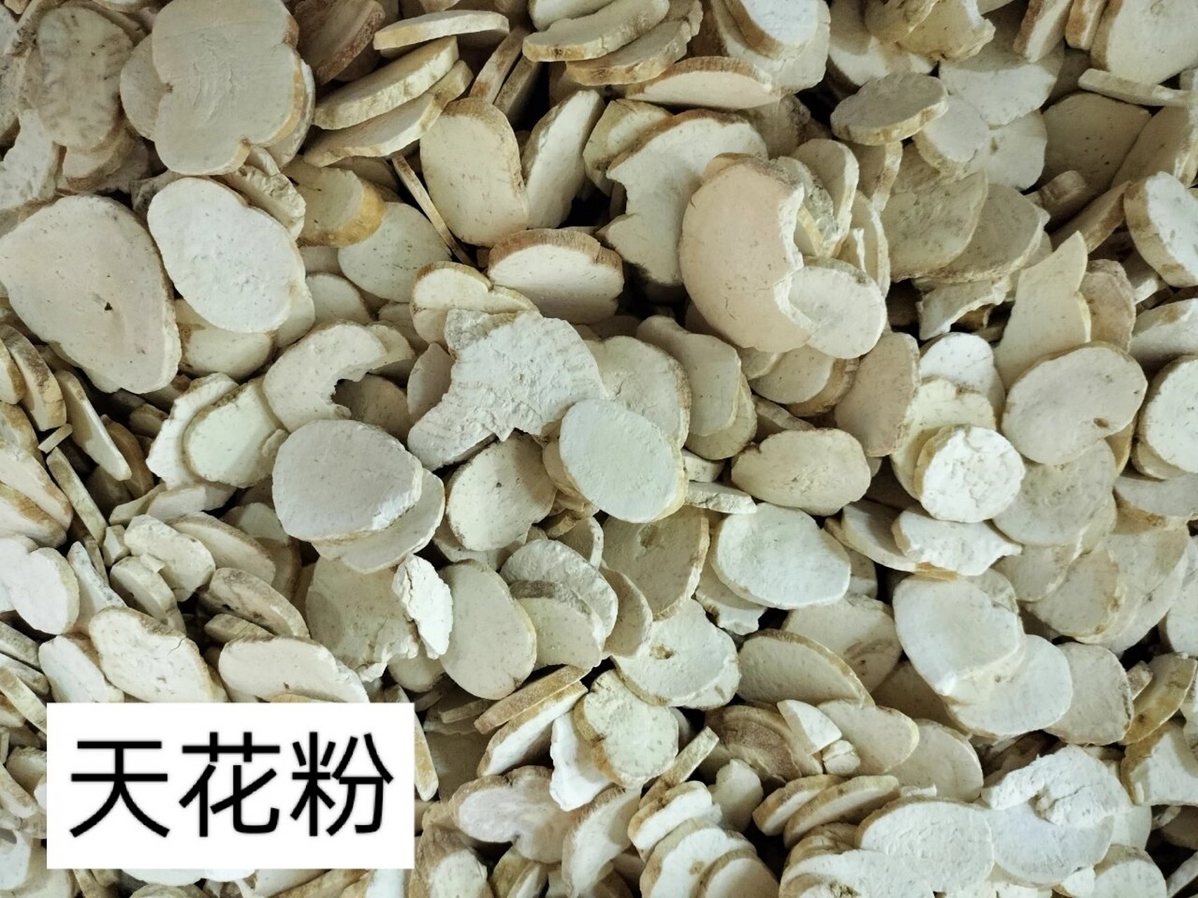 天花粉为葫芦科植物栝蒌的根.