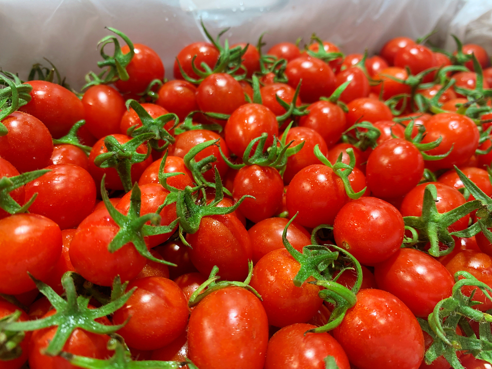 玲珑千禧很甜超级好吃97 玲珑小番茄97超级好吃 爆汁的小糖豆,脆