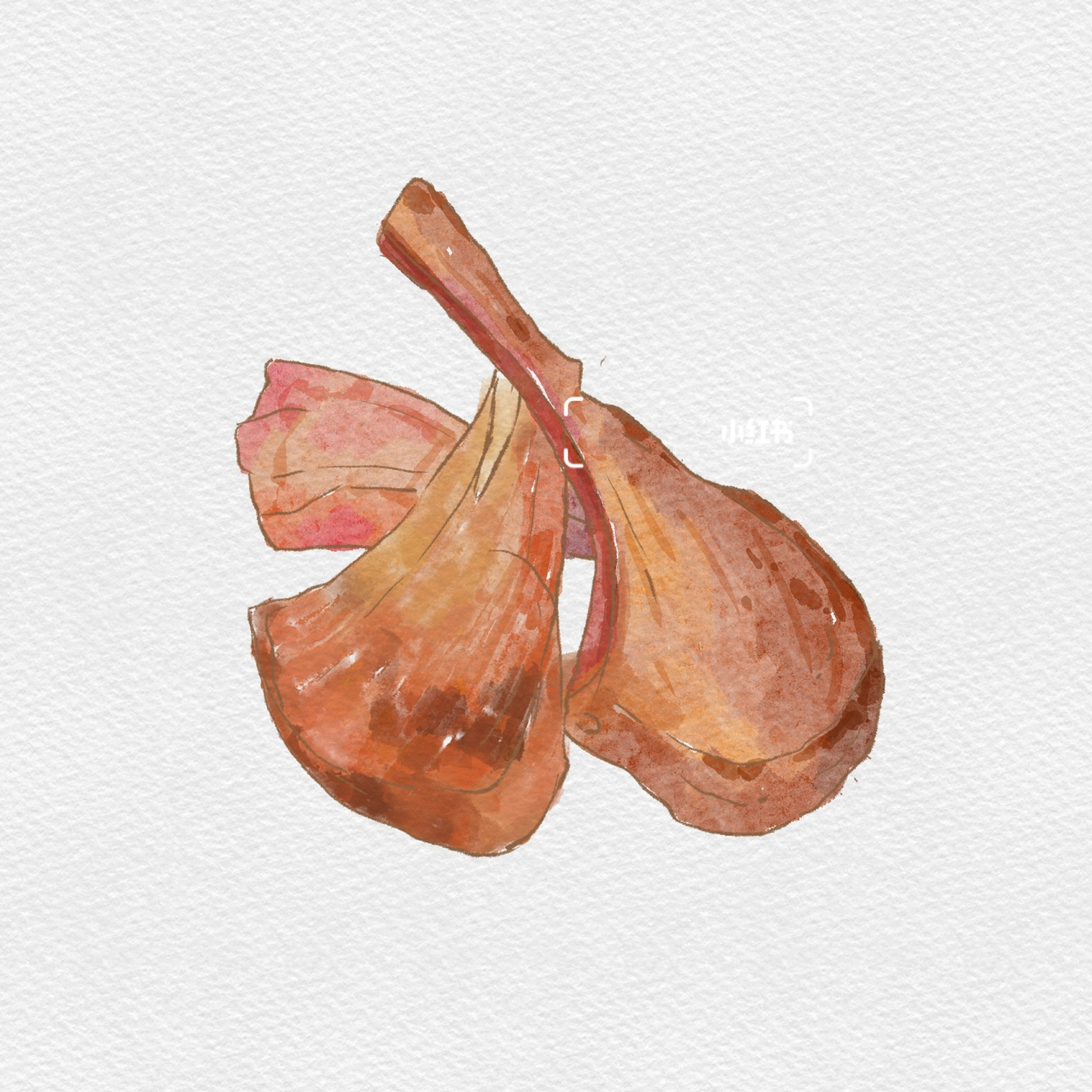 ipad插画丨烤羊排丨附笔刷步骤 一个ipad绘画小过程78 ①先画个线稿