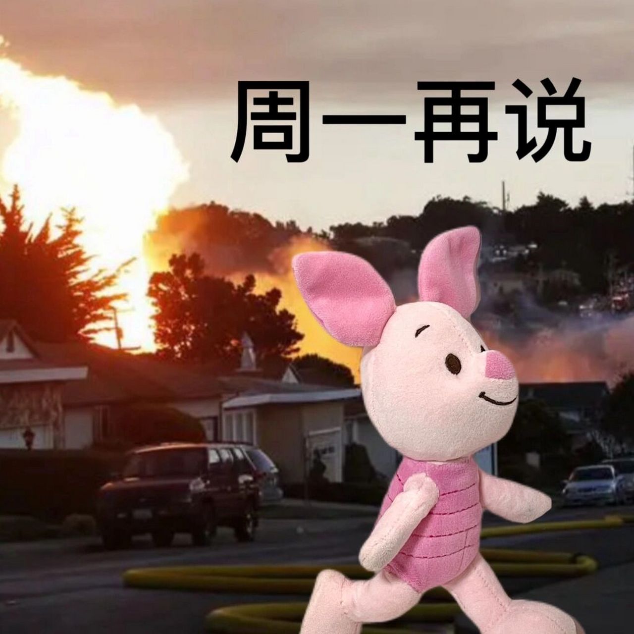 表情包分享|有什么事都明天再说吧 皮总说: 什么事情都不能阻止我下班