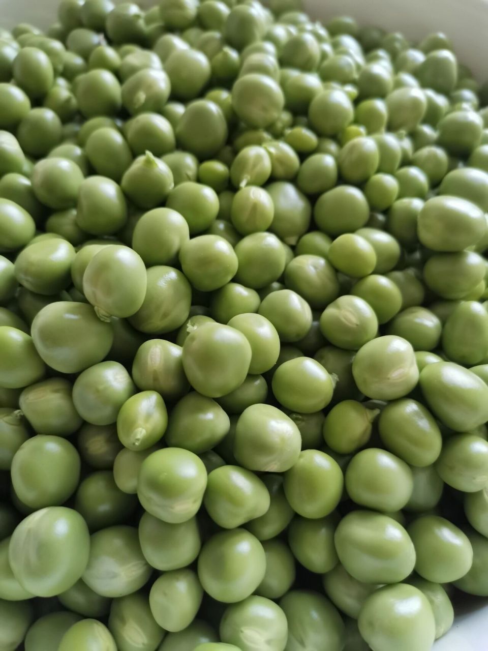 绿的发亮的豆子看着就叫人稀罕