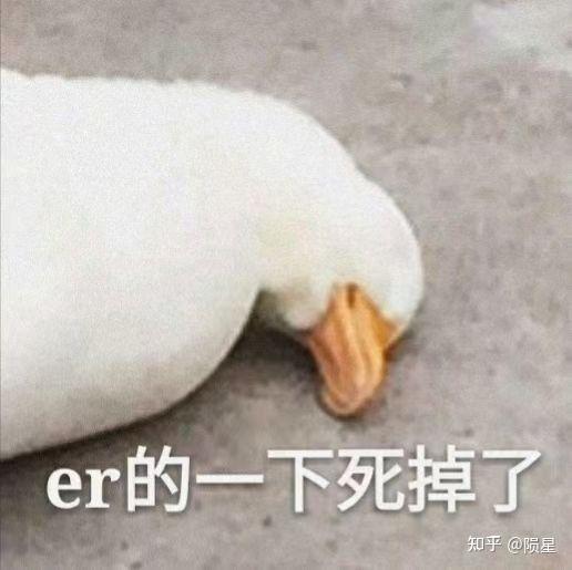 求er的一下死掉了鸭子表情包