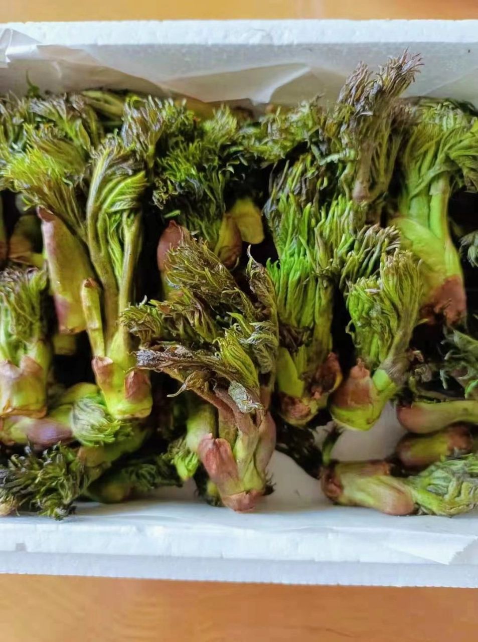 东北野生"刺嫩芽"不是香椿 买特别胖的体型,水煮～蘸酱,吃原生,不要跟