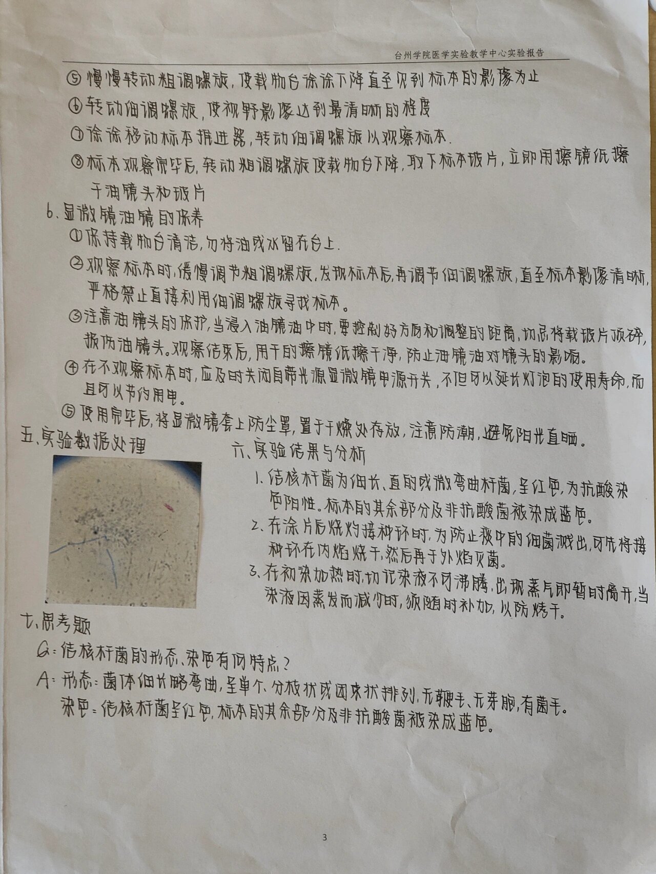 病原实验报告(5) 结核杆菌抗酸染色