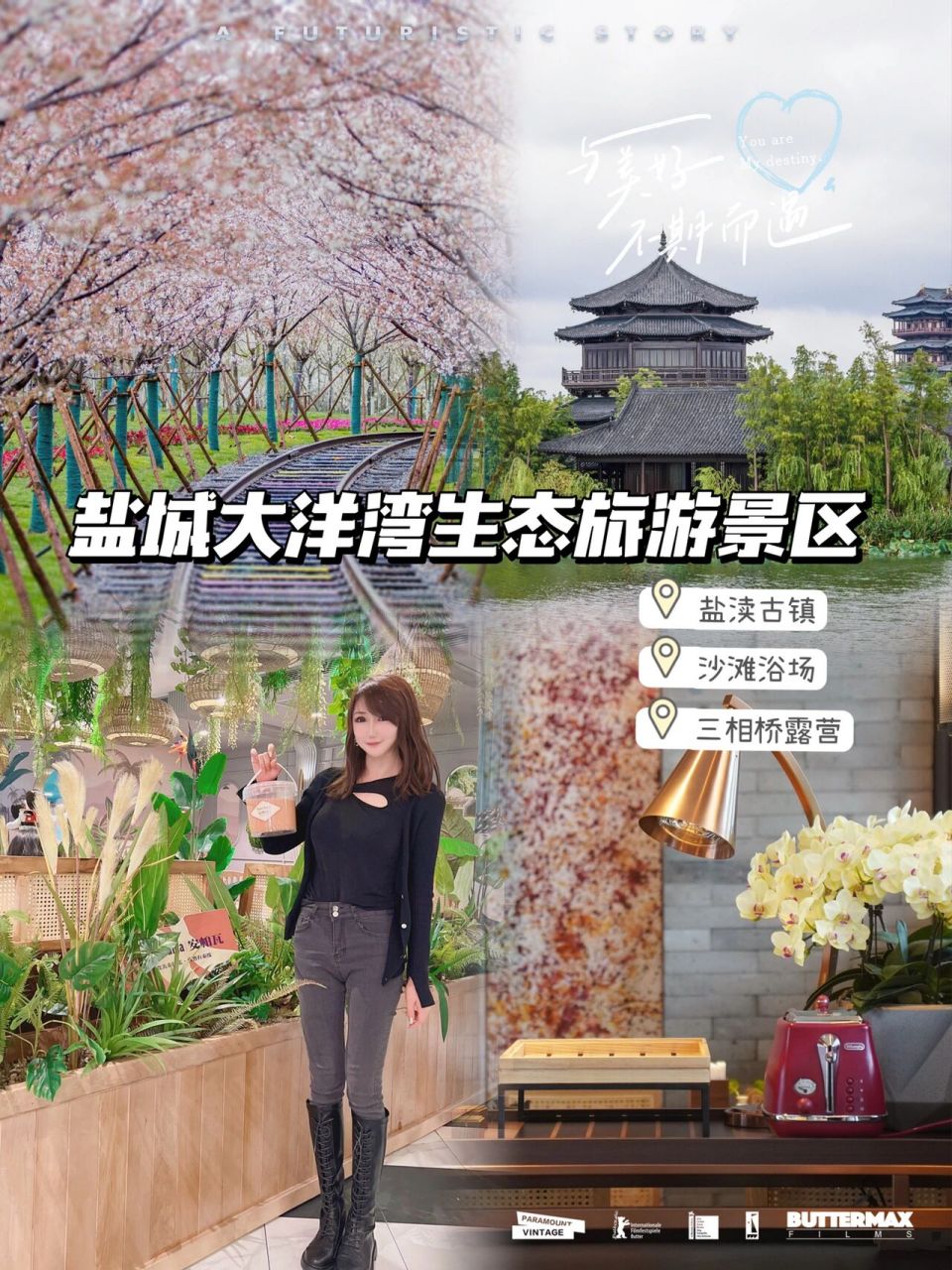 盐城旅游96盐城大洋湾生态旅游景区 盐城大洋湾旅行提上日程!