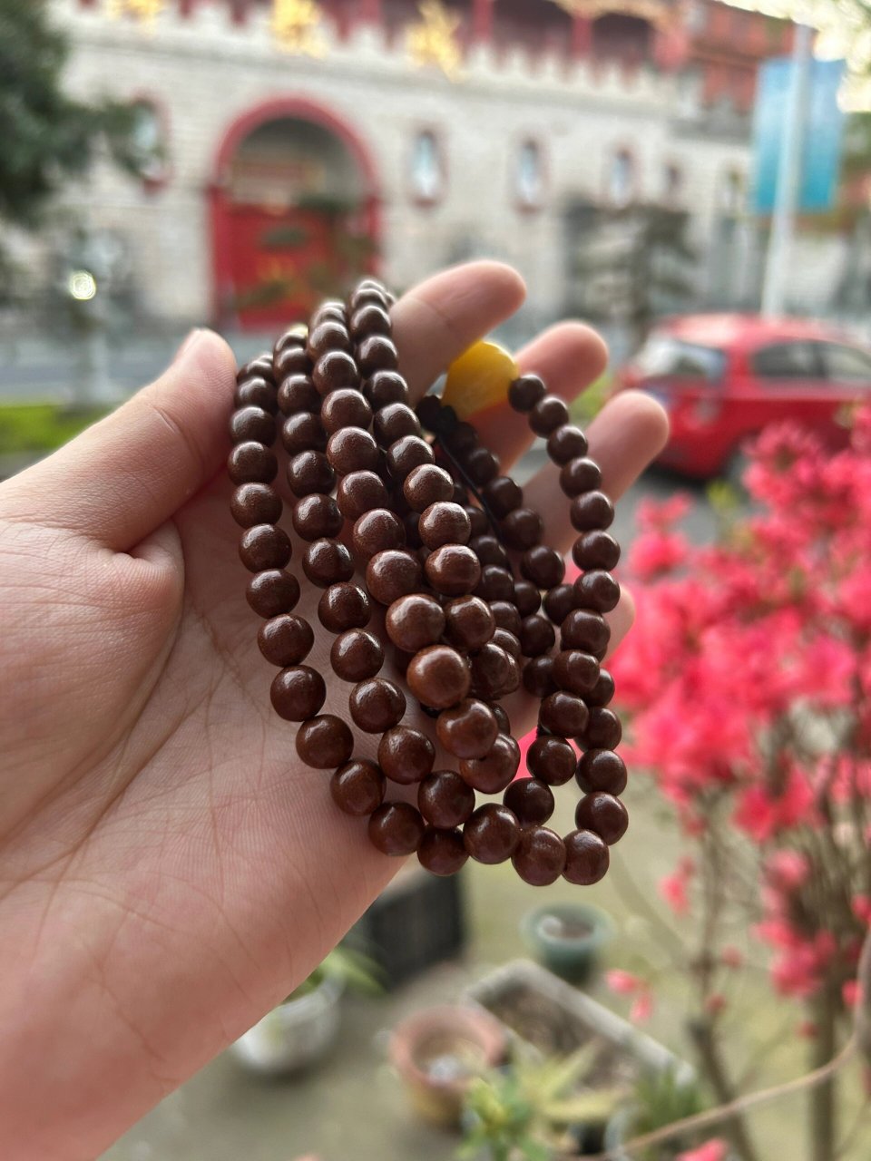 国清寺禅堂籽,天台山五线菩提小众文玩科普 因为同行扰乱市场,所以跟